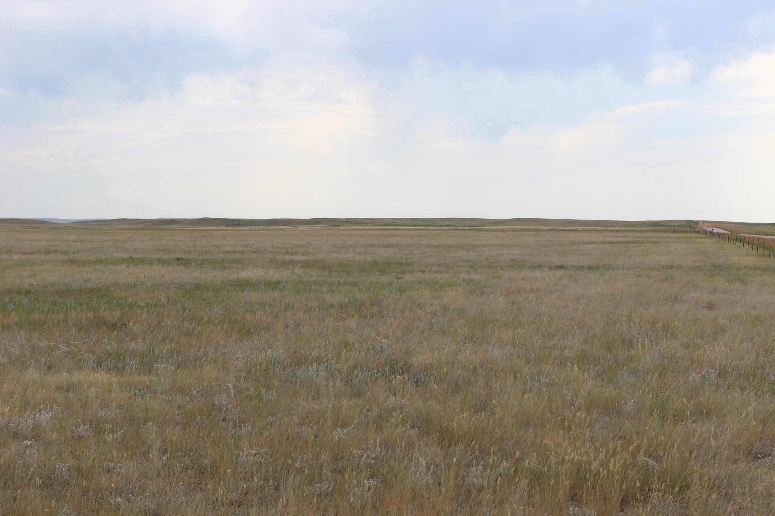 Tbd Spring Creek Cutoff Property Photo 4