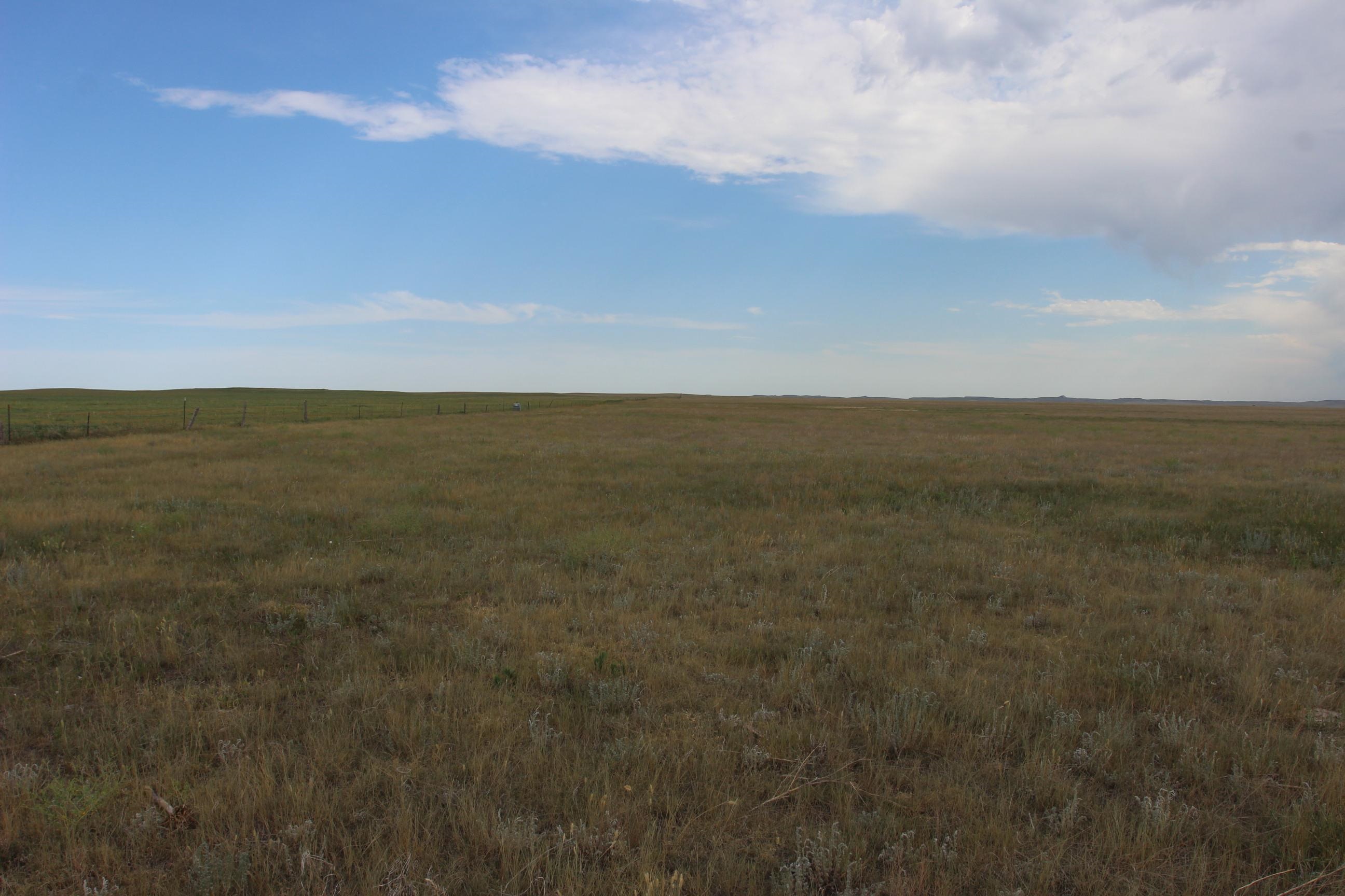 Tbd Spring Creek Cutoff Property Photo 5