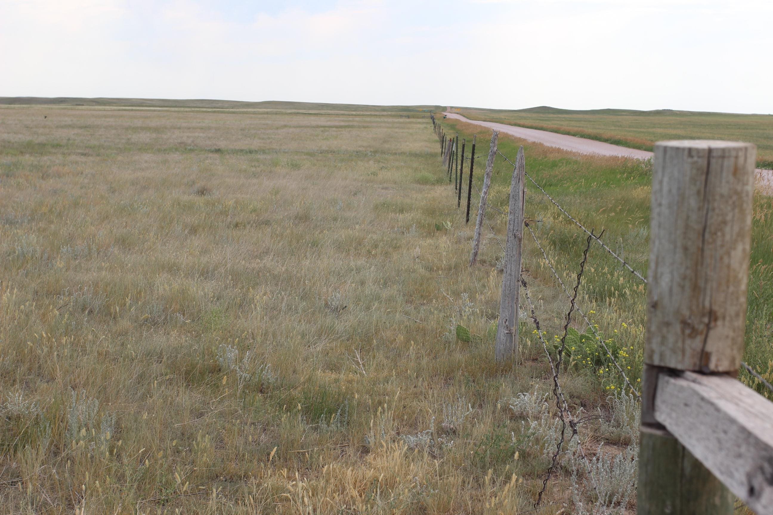 Tbd Spring Creek Cutoff Property Photo 6