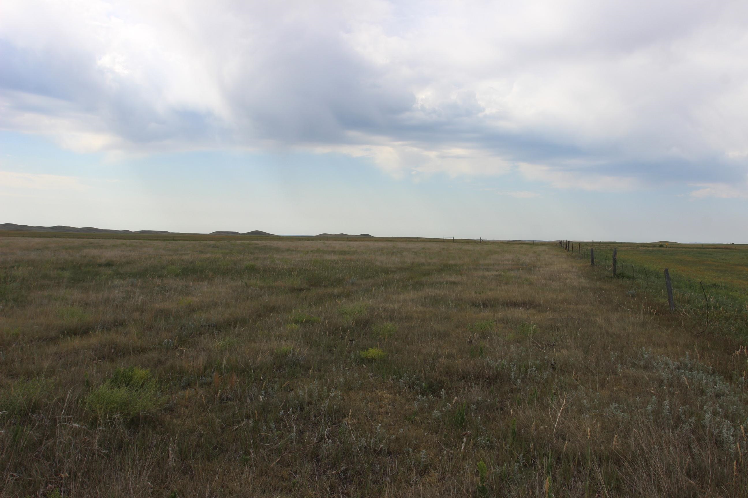 Tbd Spring Creek Cutoff Property Photo 8