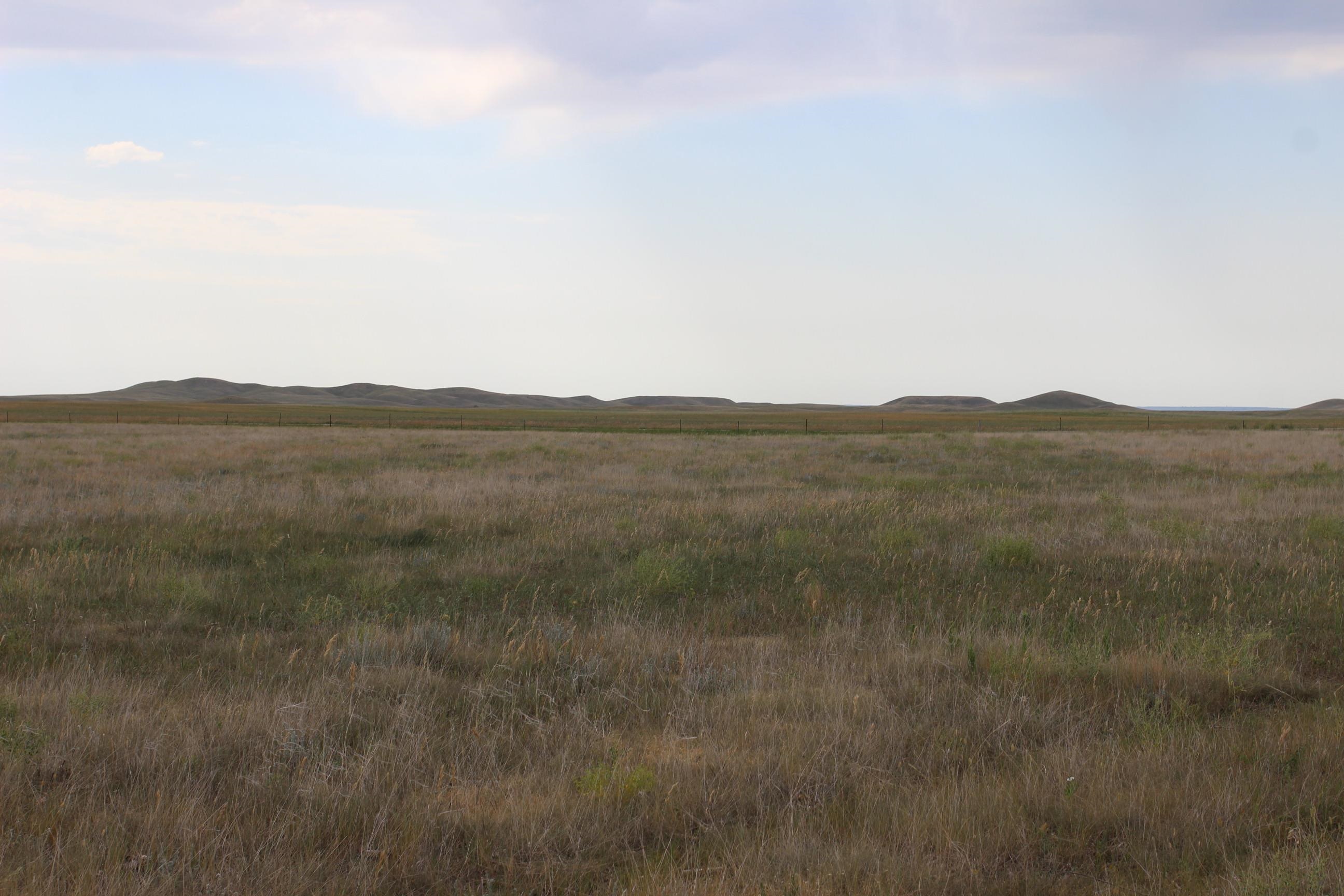 Tbd Spring Creek Cutoff Property Photo 9