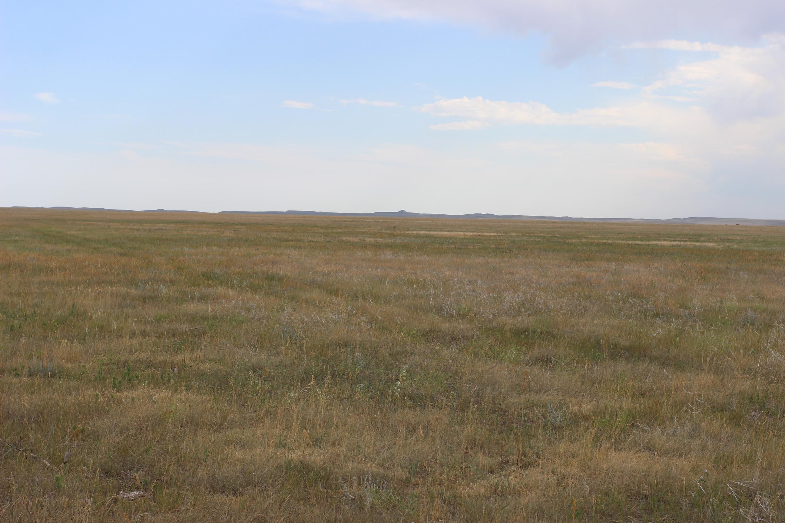 Tbd Spring Creek Cutoff Property Photo 10
