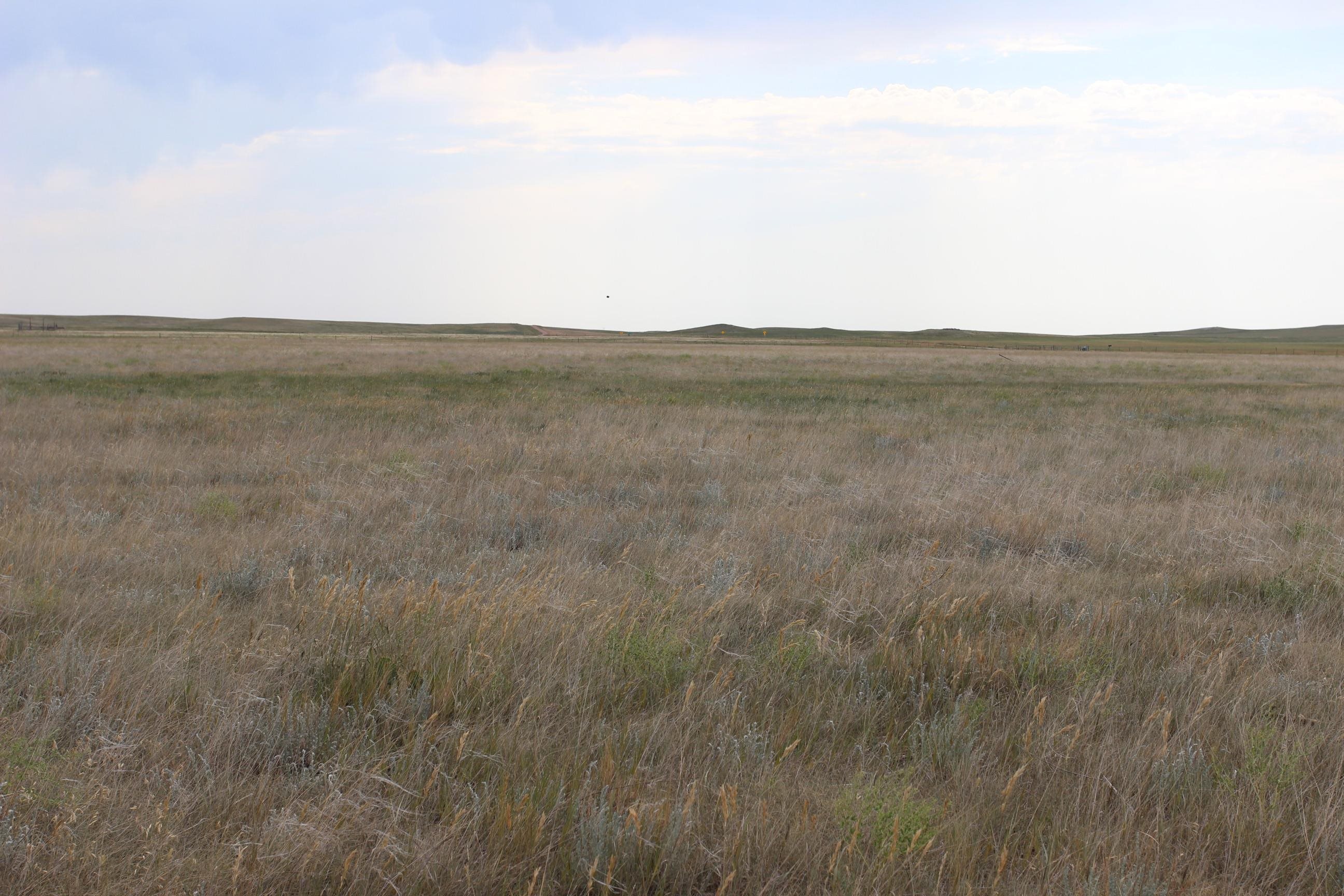 Tbd Spring Creek Cutoff Property Photo 11
