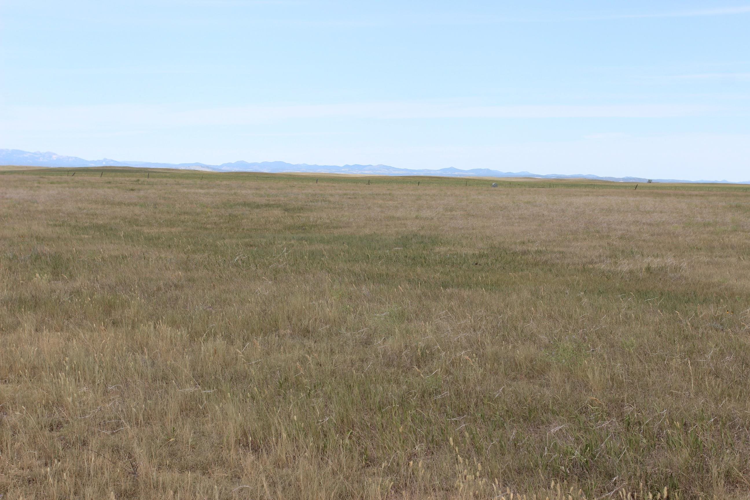 Tbd Spring Creek Cutoff Property Photo 12