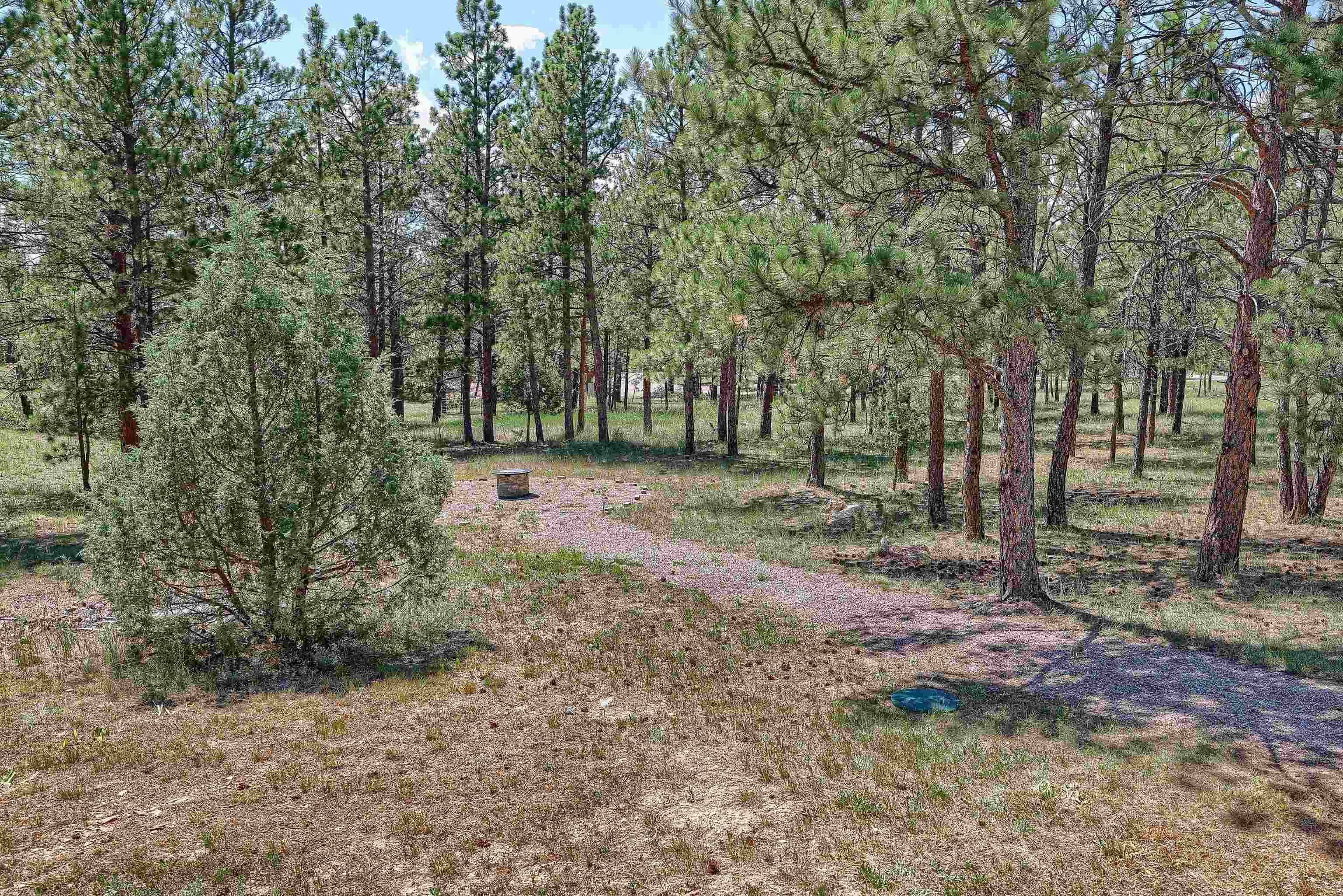 25555 Harriett Ward Road Property Photo 19
