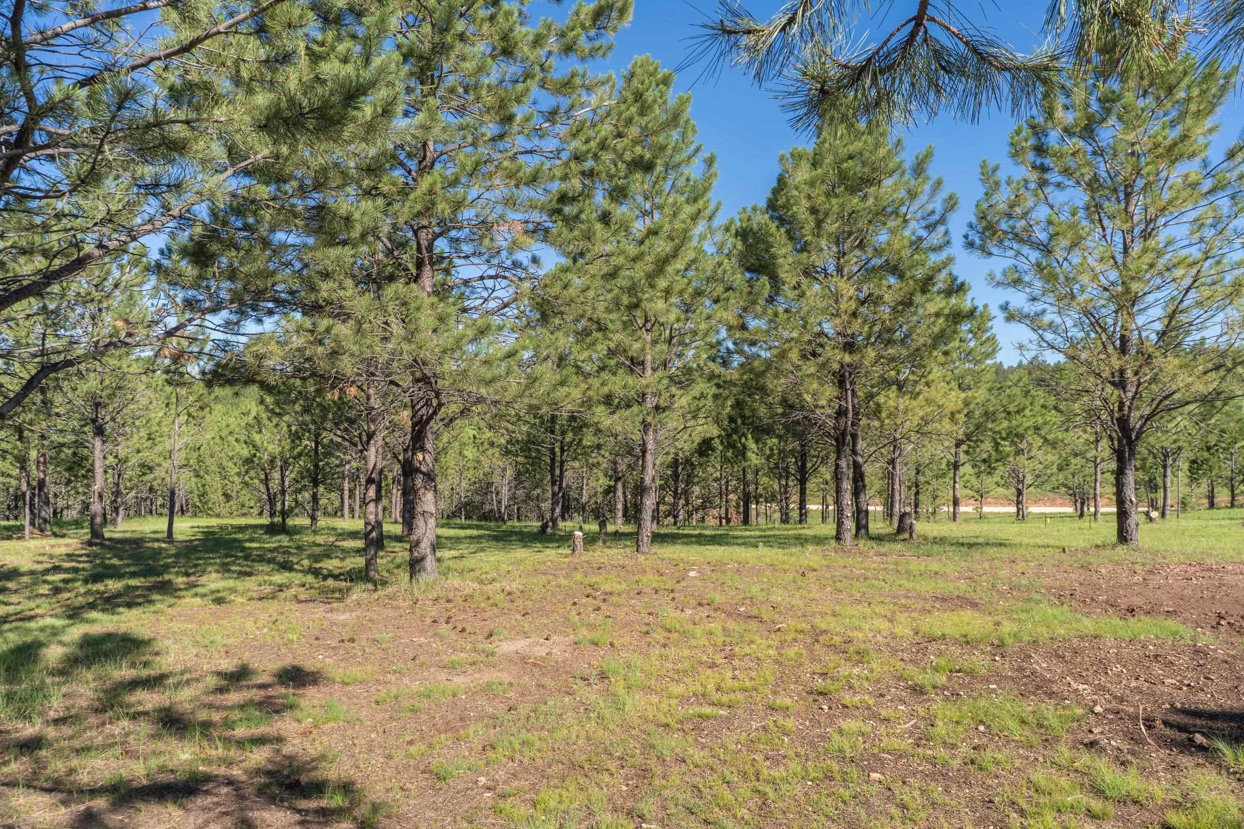 11969 South Park Drive Property Photo 24