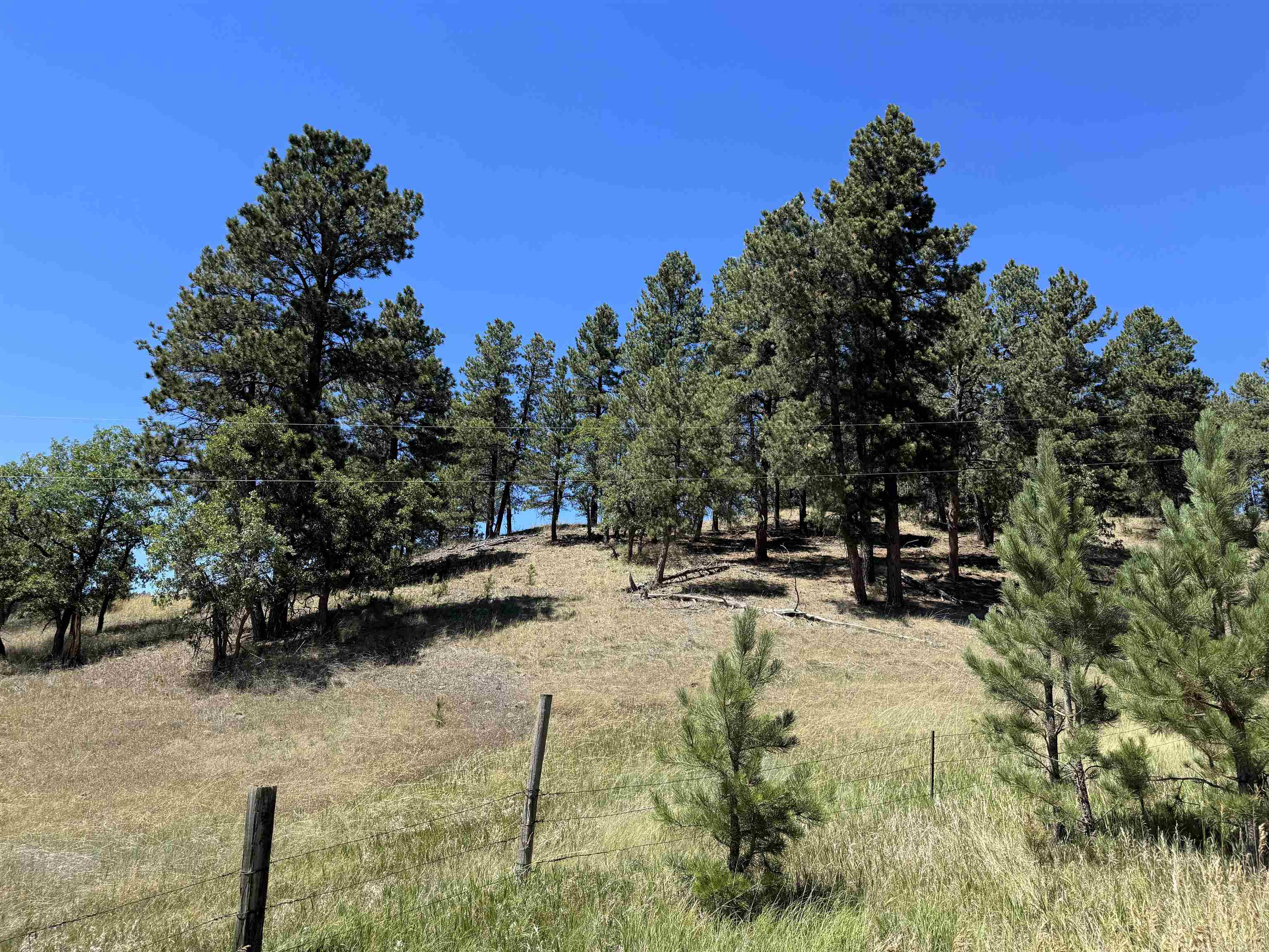 Tbd Kimball Road Property Photo 2