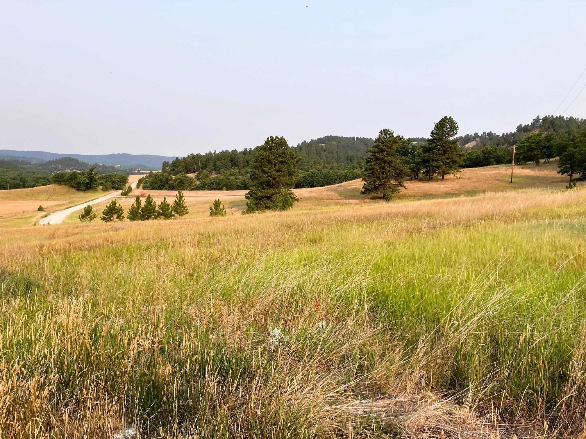 Tbd Kimball Road Property Photo 6