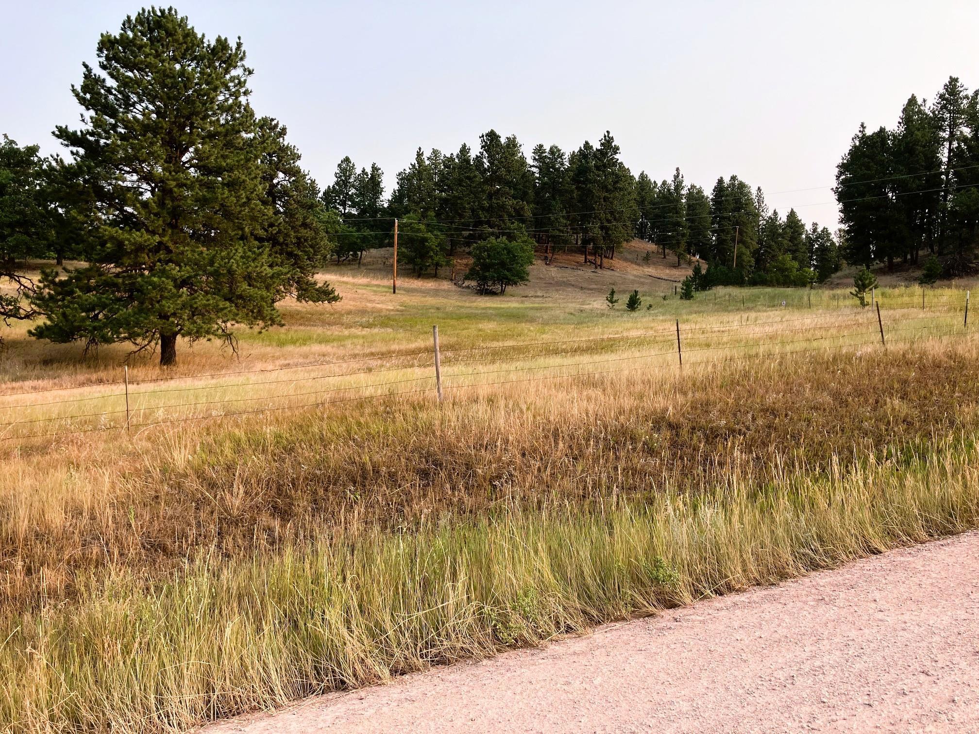 Tbd Kimball Road Property Photo 8