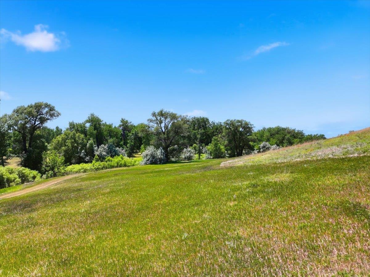 Lot 1 Highway 79 Property Photo 4