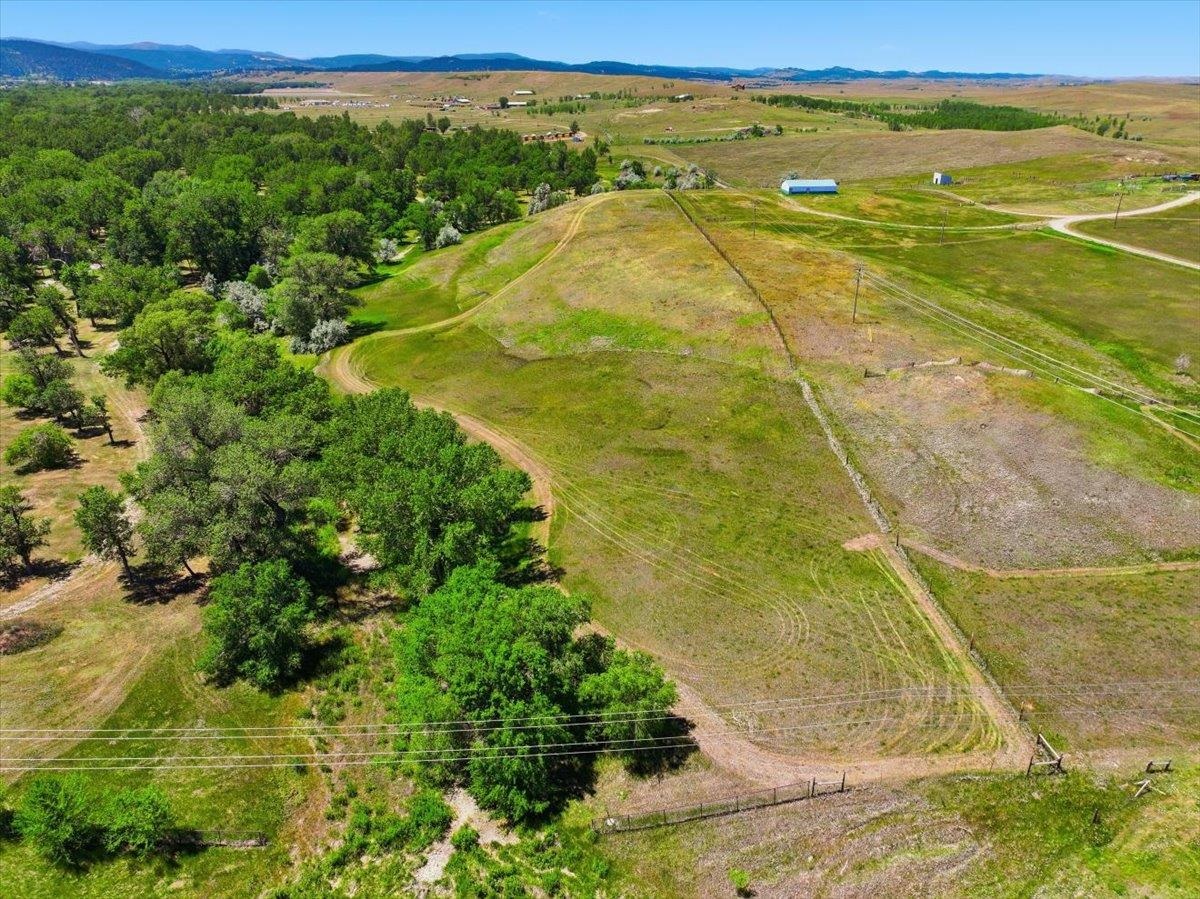 20491 Highway 79 Property Photo 6