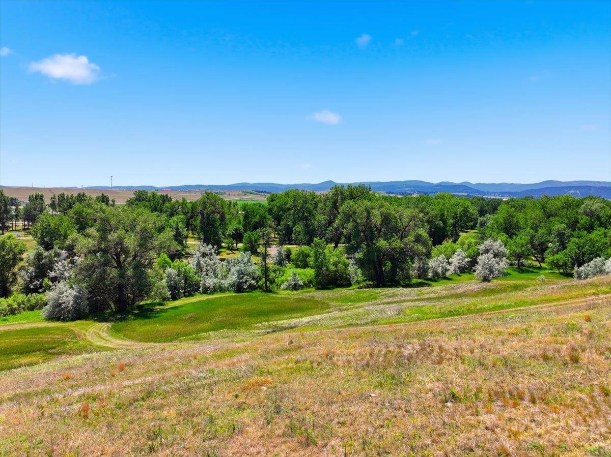 20491 Highway 79 Property Photo 13