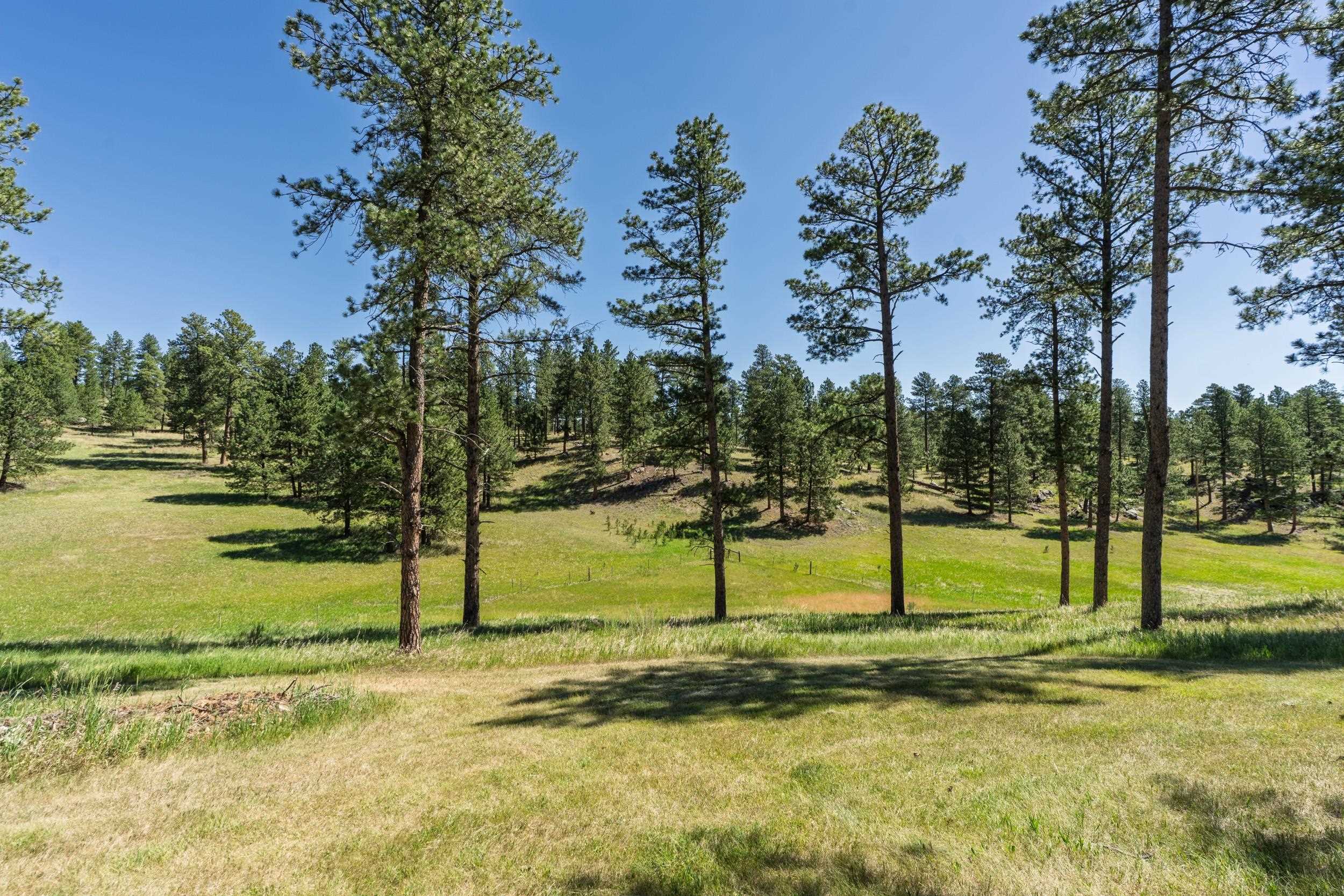 12560 Old Hill City Road Property Photo 33