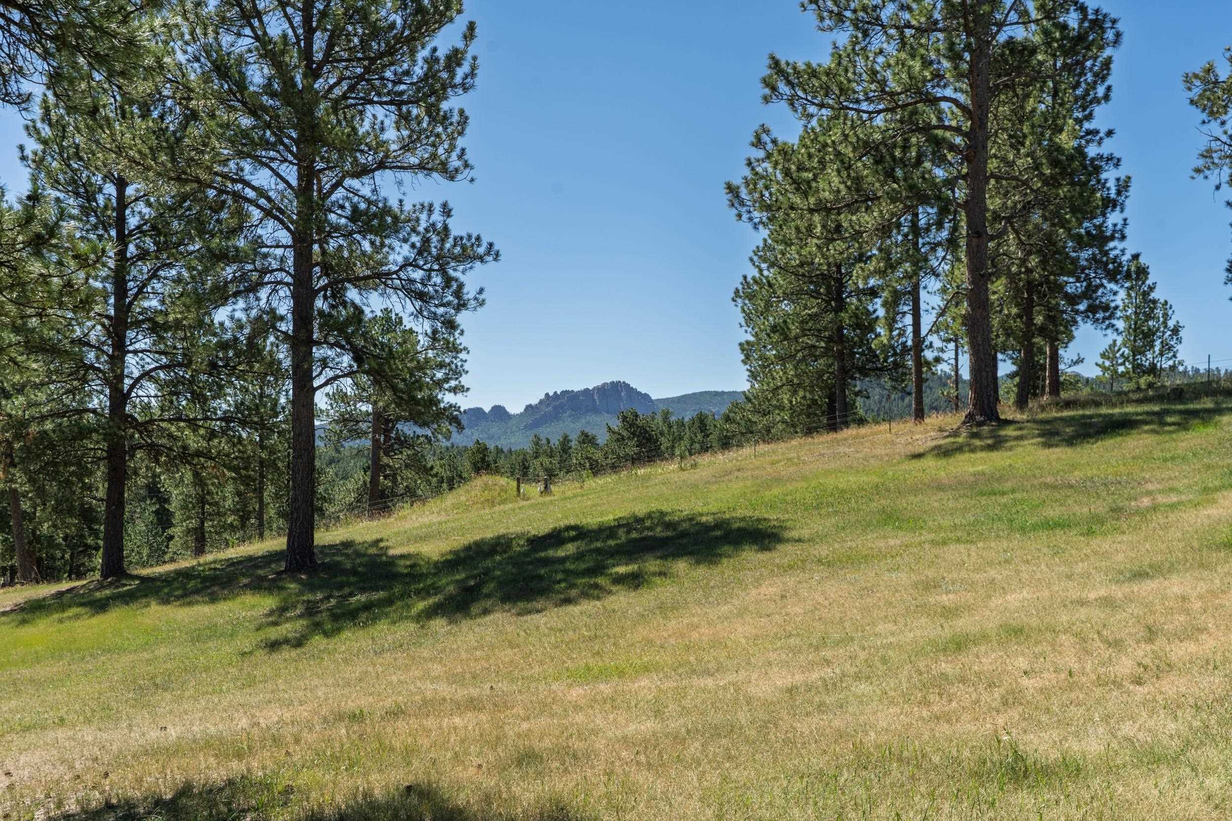 12560 Old Hill City Road Property Photo 34