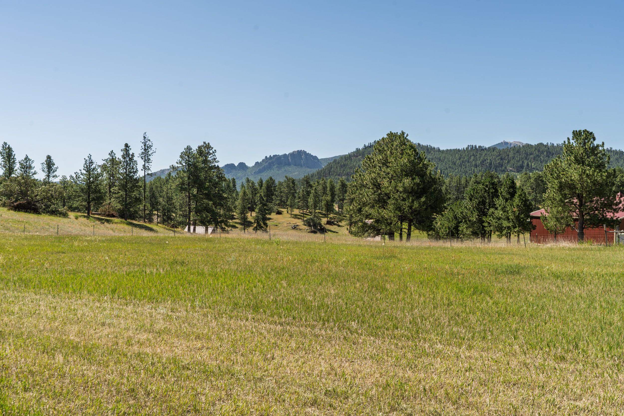 12560 Old Hill City Road Property Photo 35