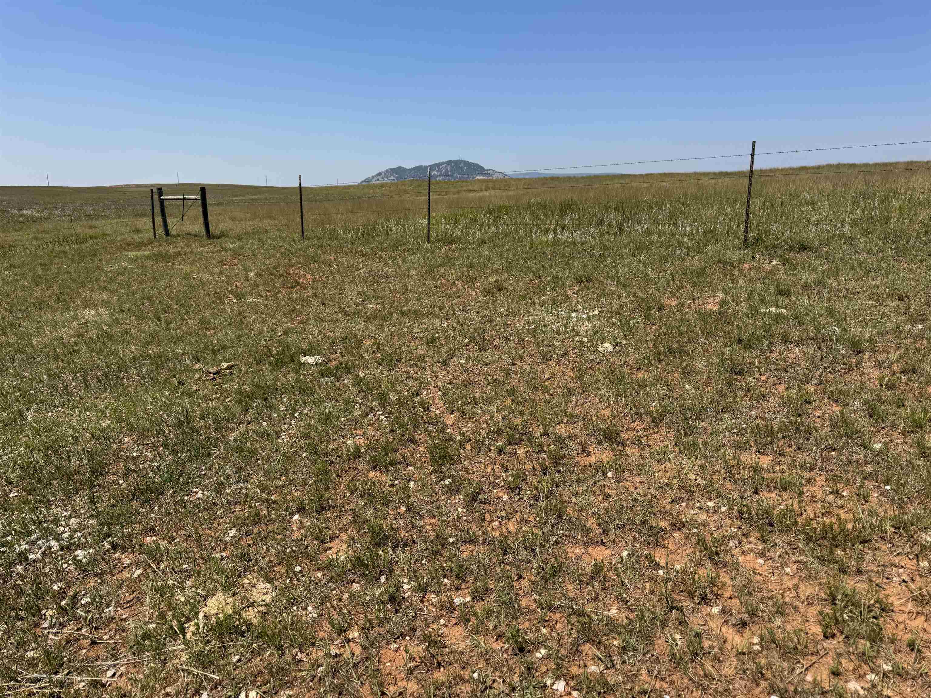 2323 Highway 585 Property Photo 16