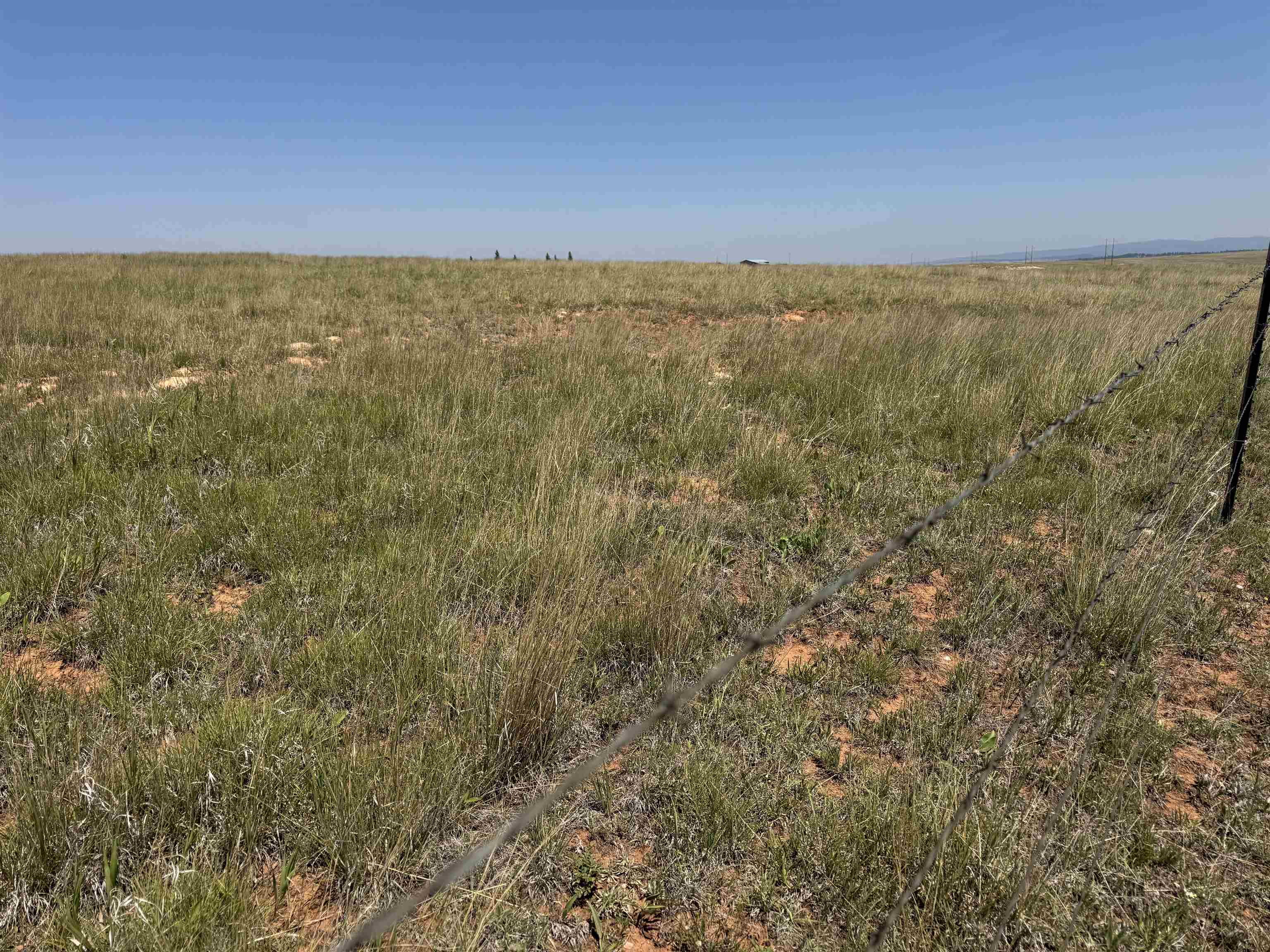 2323 Highway 585 Property Photo 17