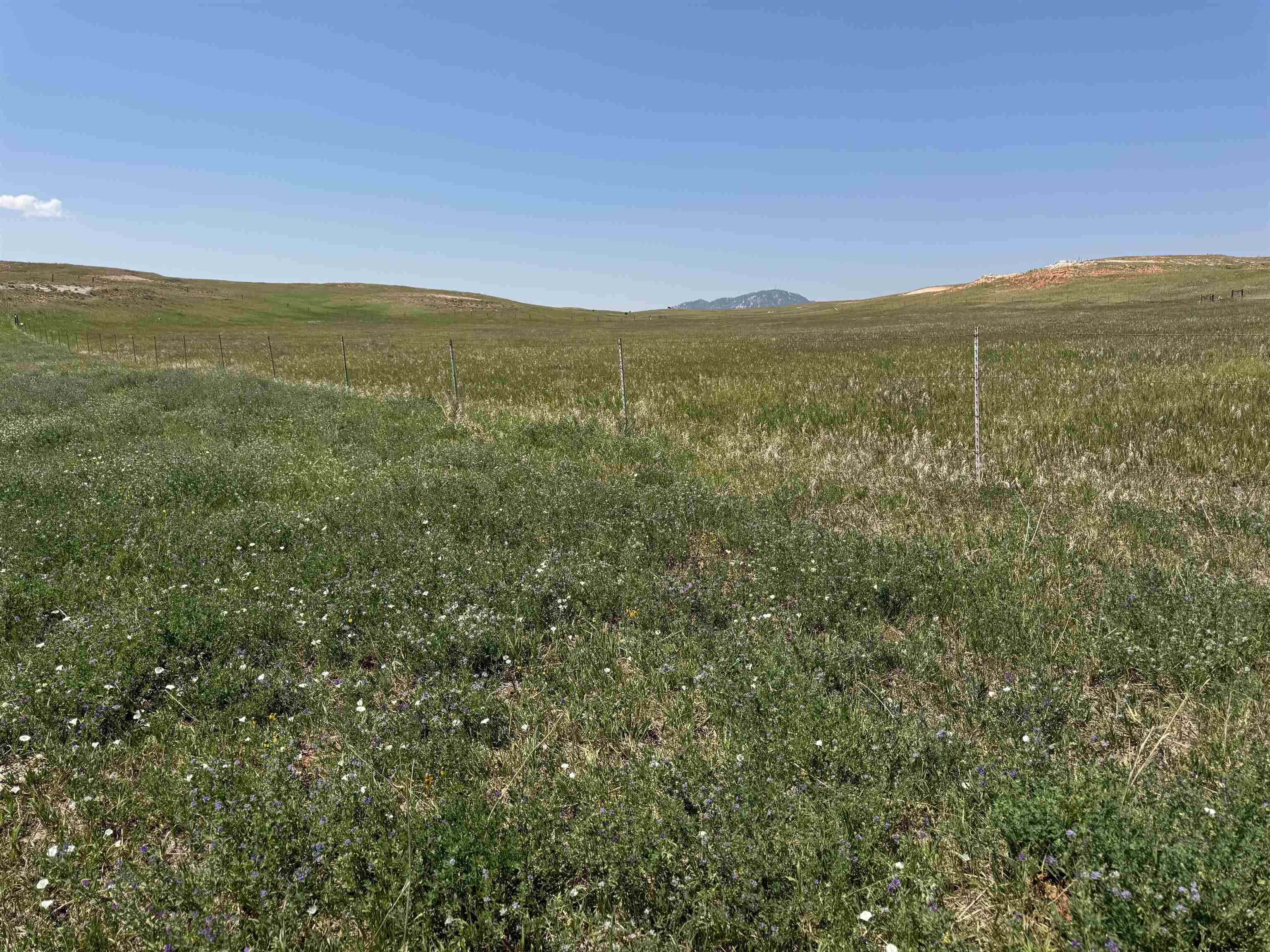 2323 Highway 585 Property Photo 21