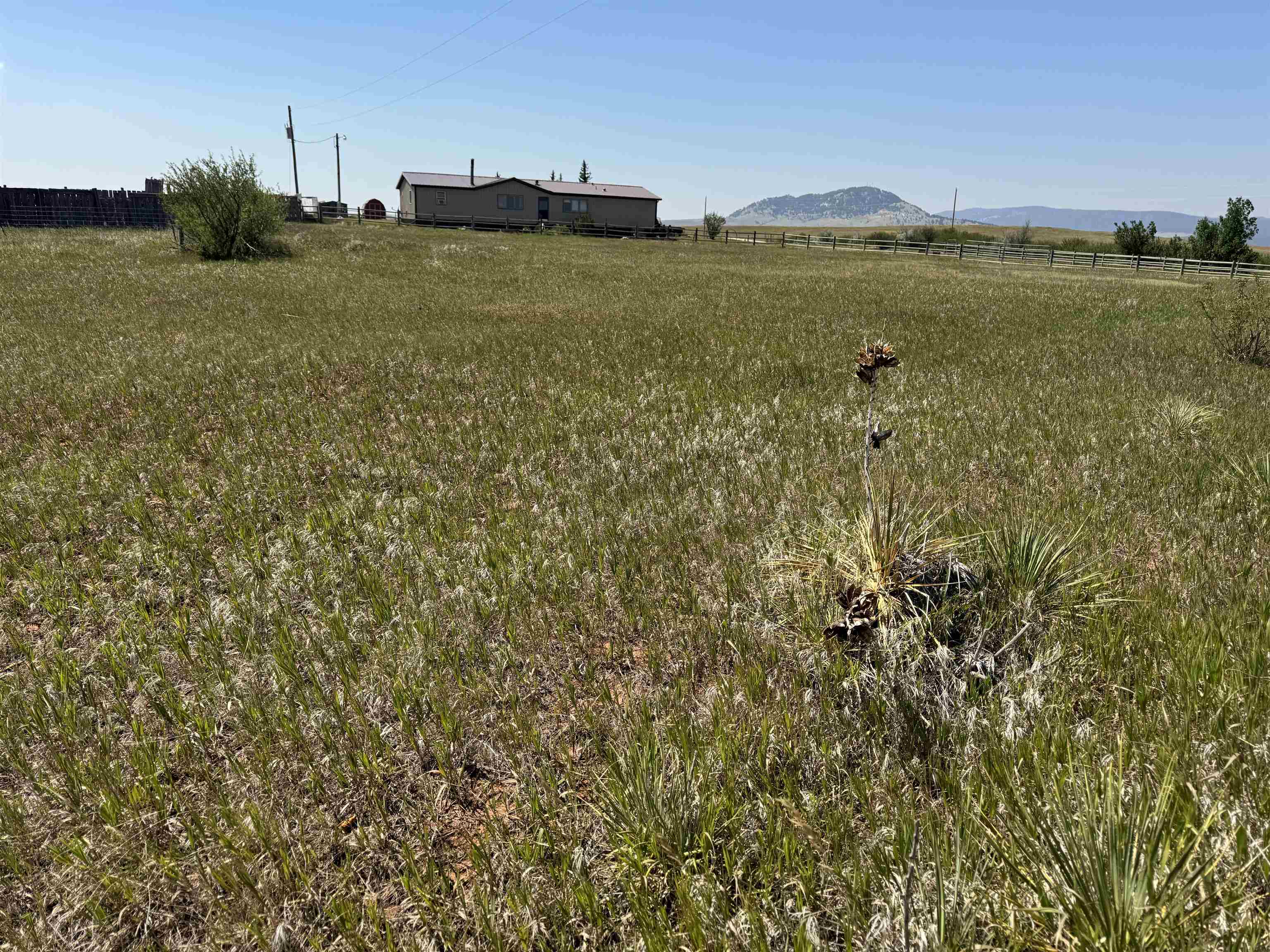 2323 Highway 585 Property Photo 2