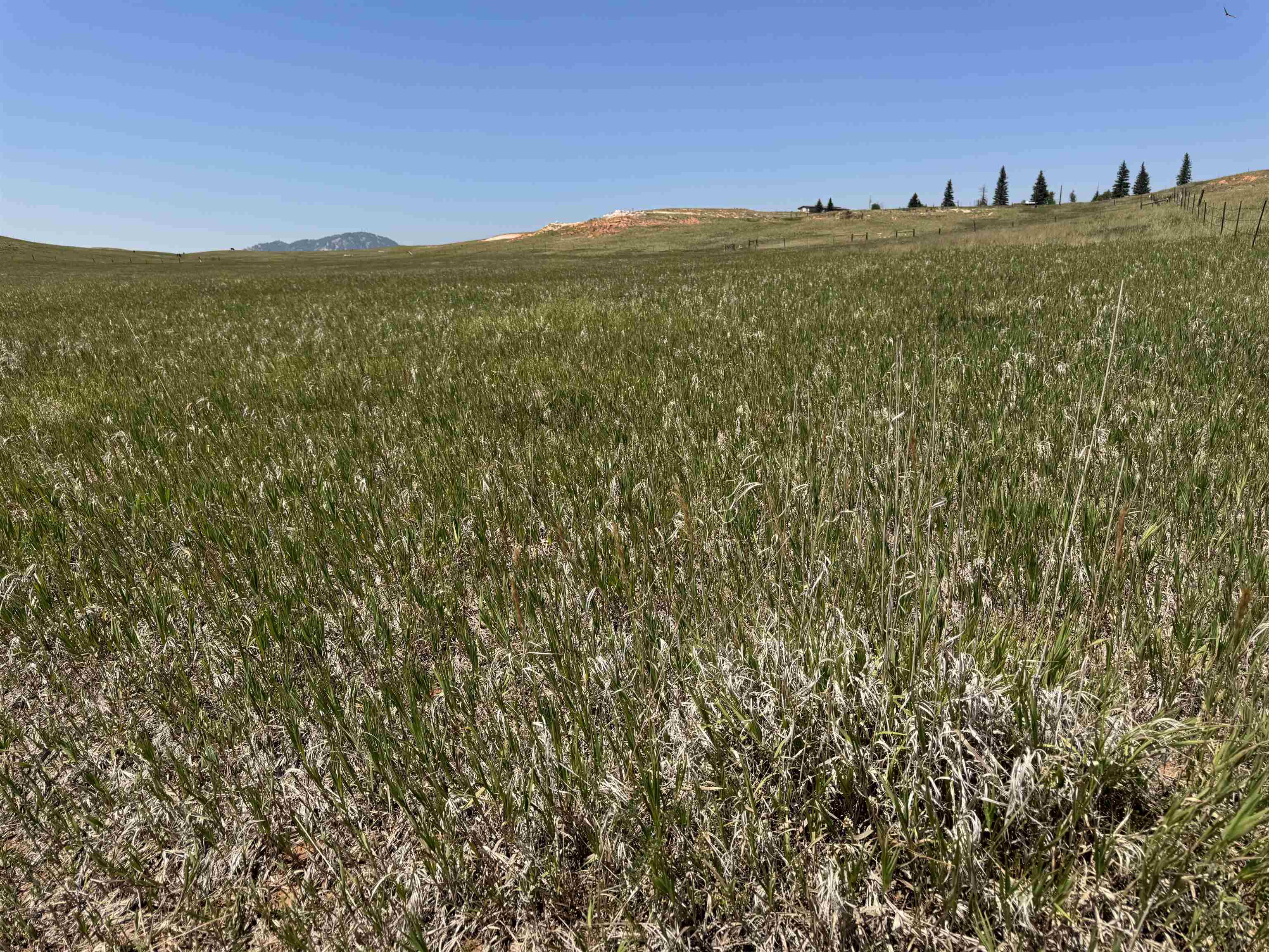 2323 Highway 585 Property Photo 22