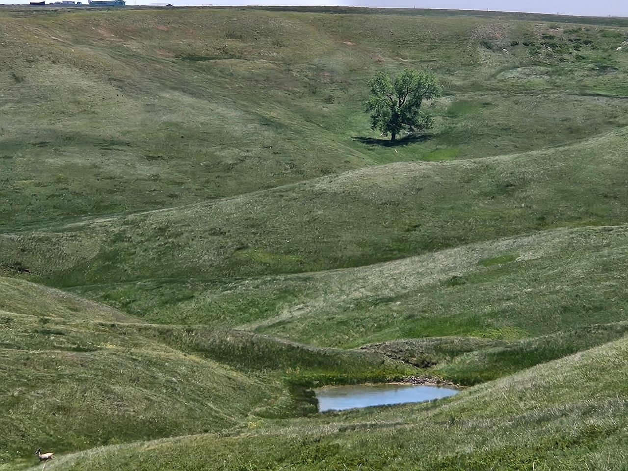Tbd 152nd Place Property Photo 1
