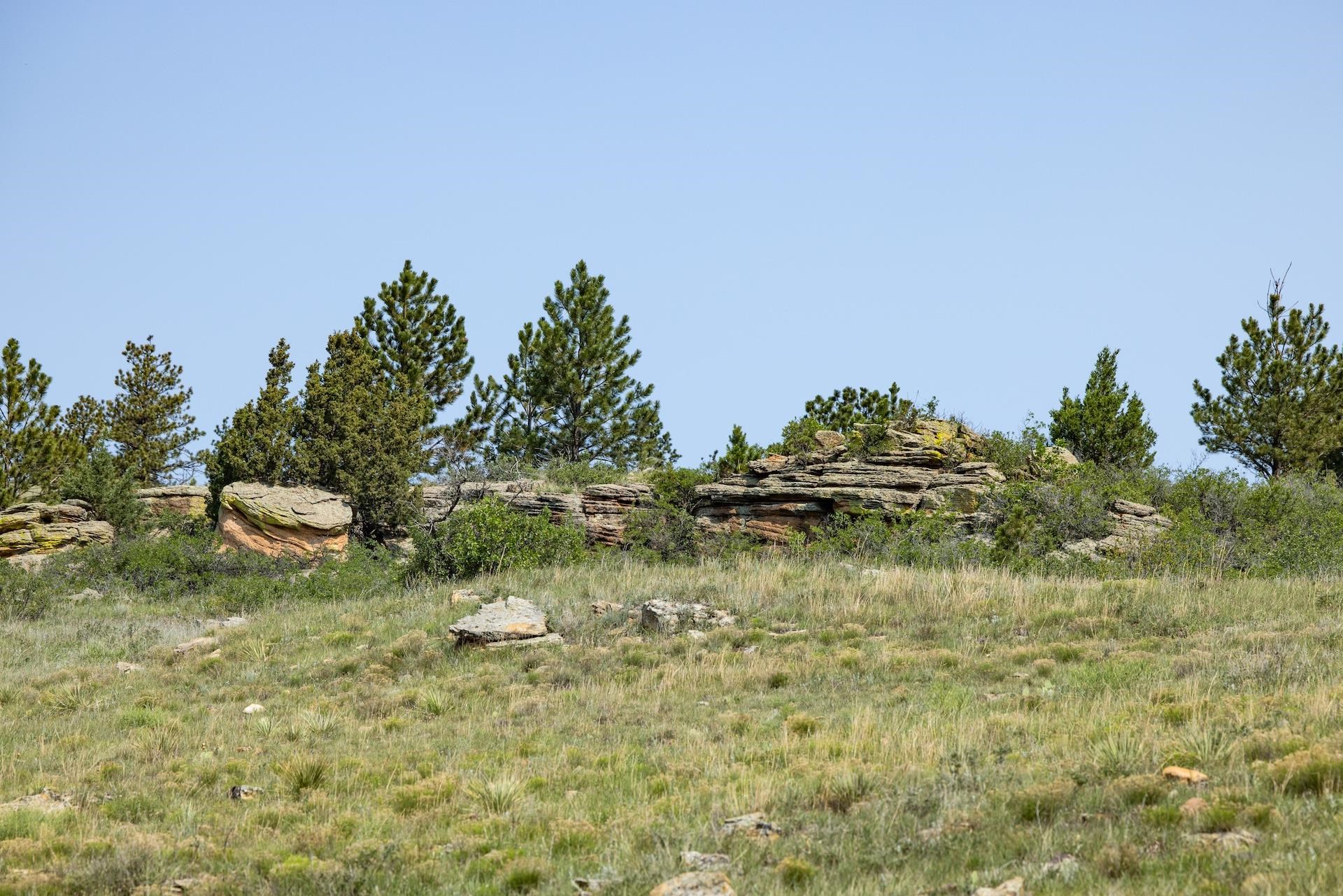 Lame Johnny Road Property Photo 26