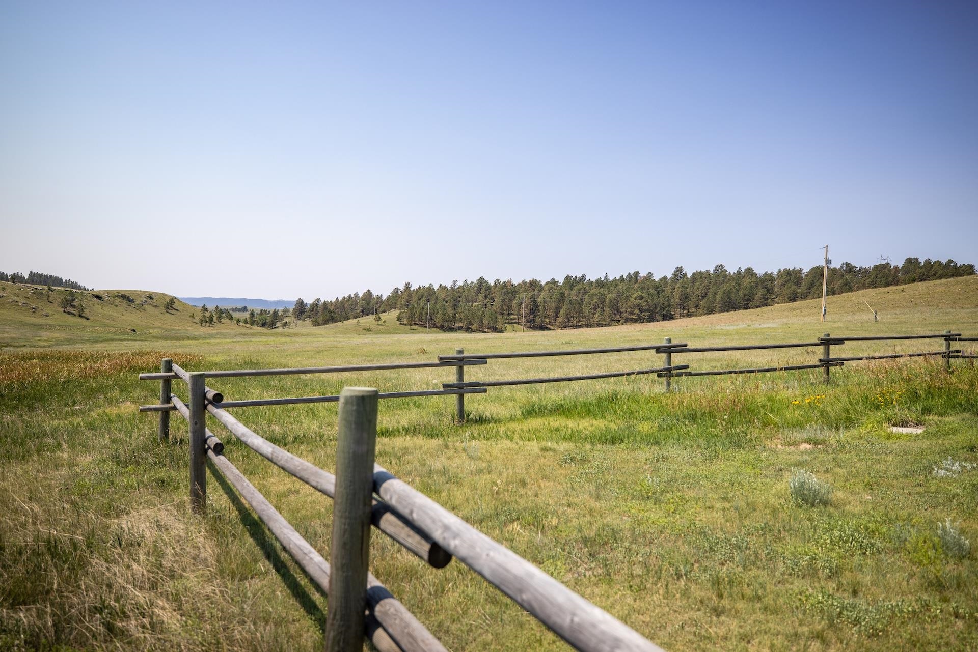 Lame Johnny Road Property Photo 33