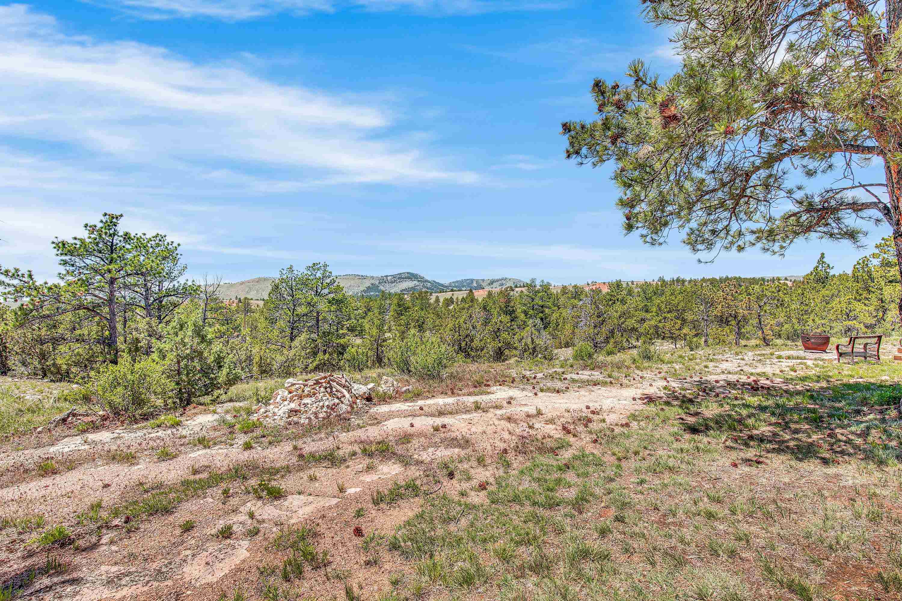 10297 Timber Trail Property Photo 9