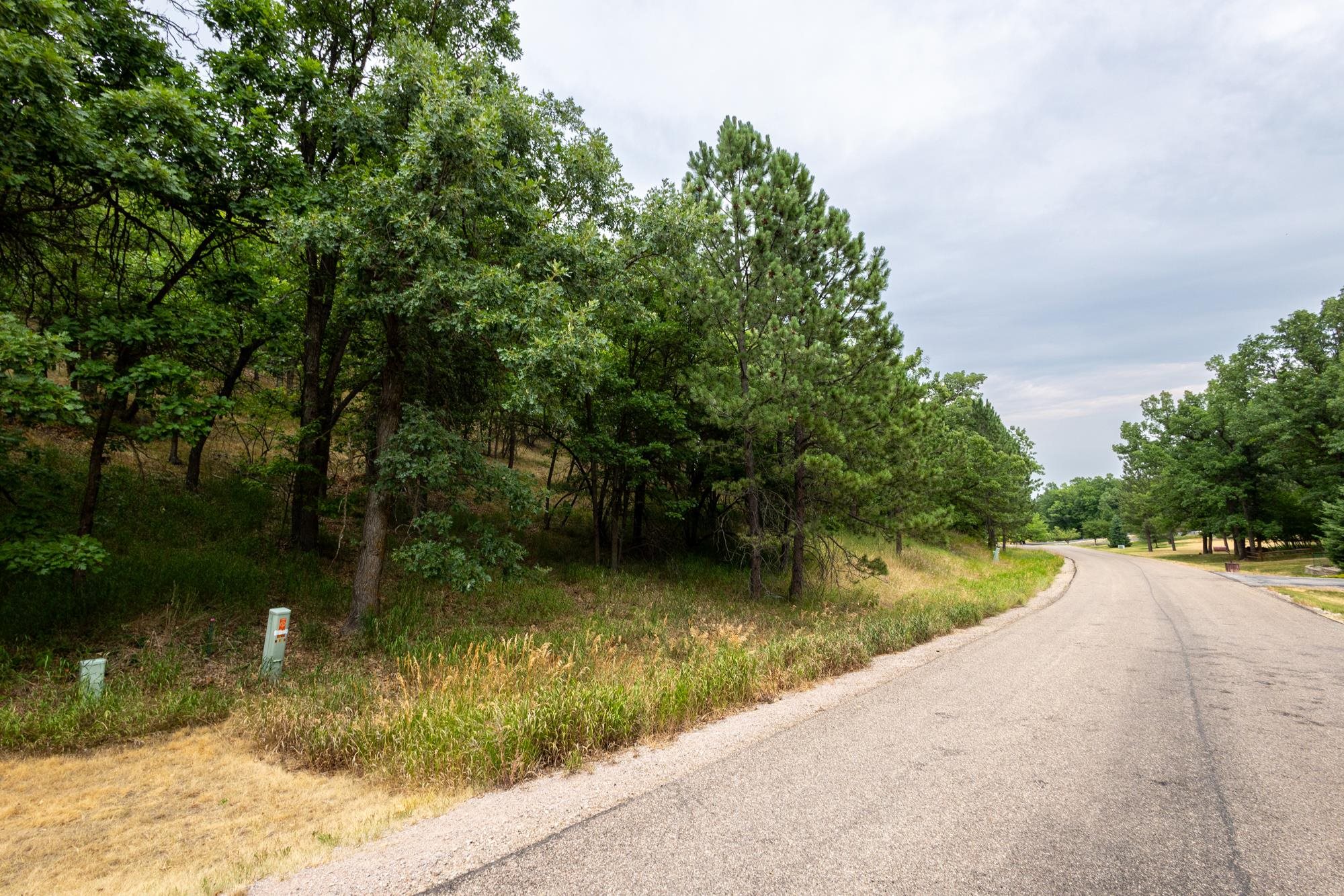 TBD Lot 4 Aspen Way Property Photo 1