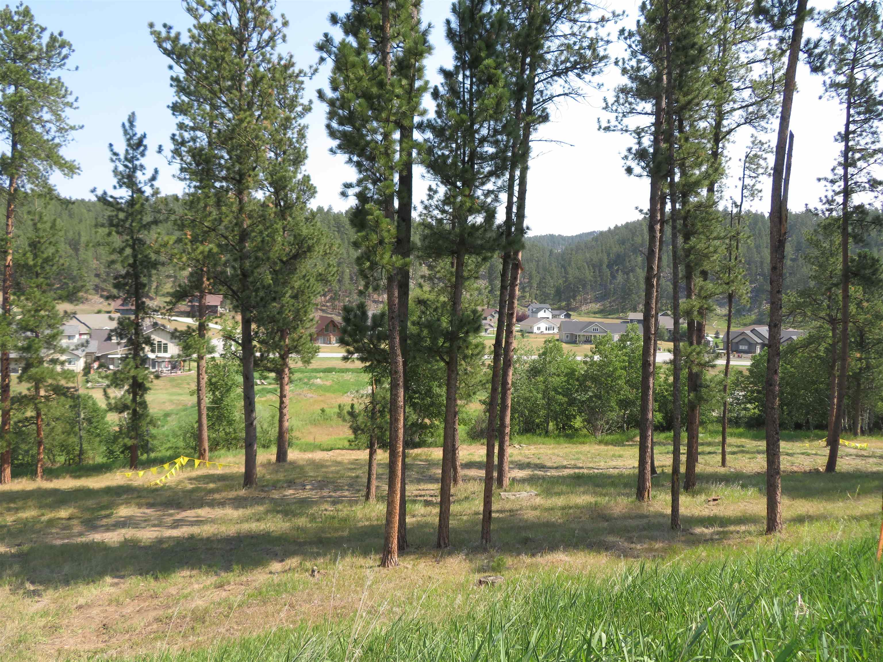 Blk 7 Lot 7 Property Photo 3