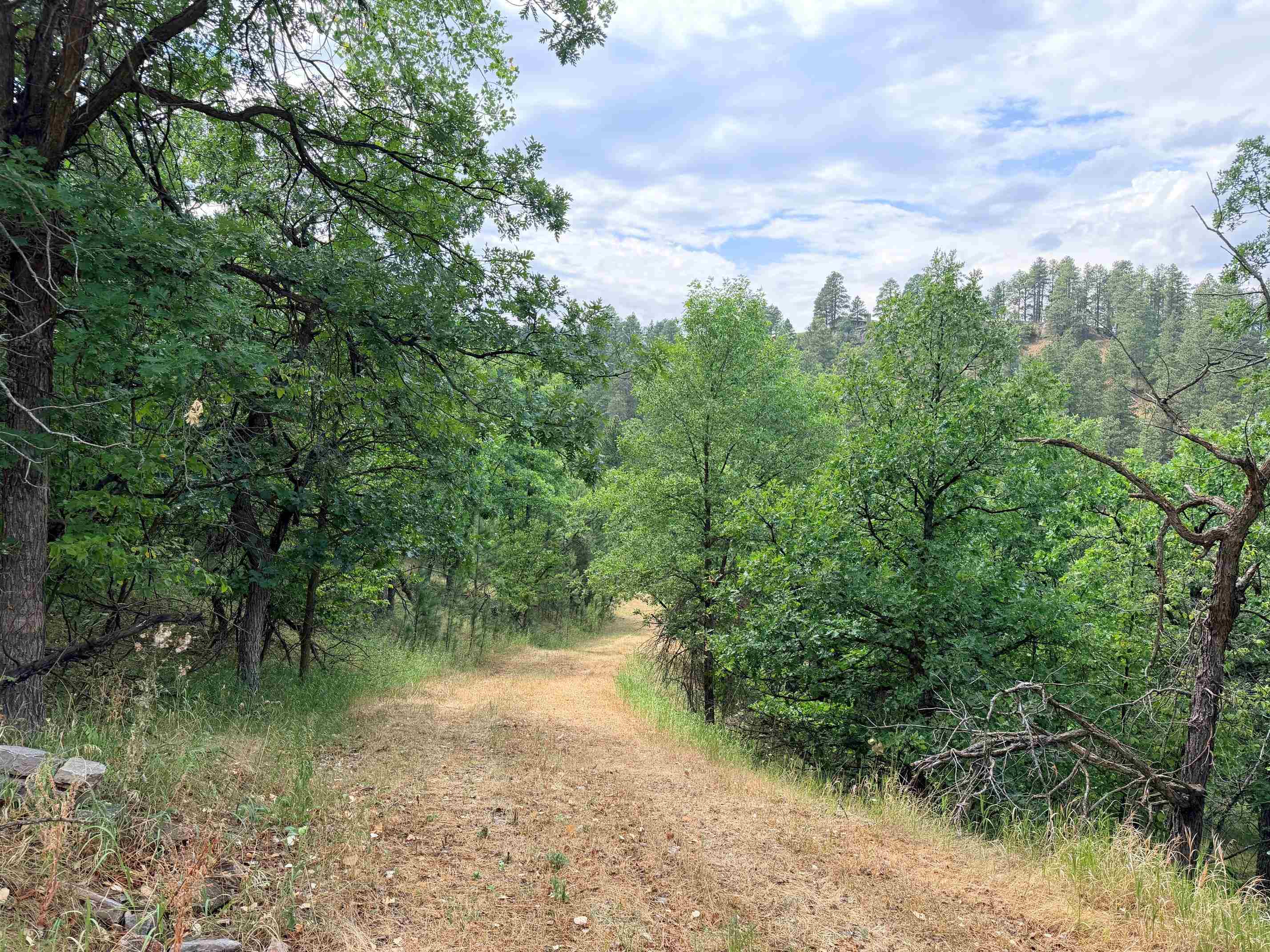 Tbd Timberline Road Property Photo 2