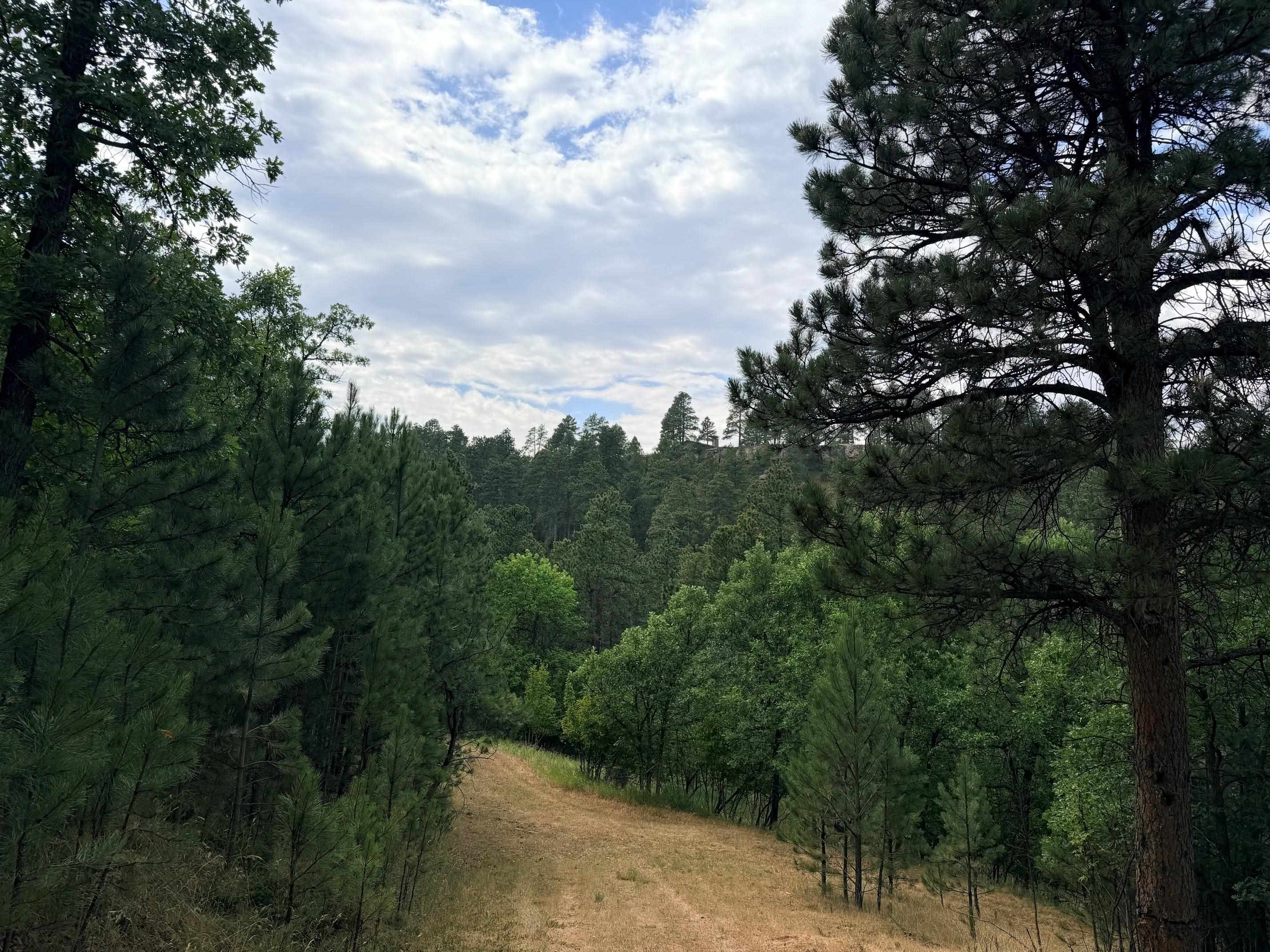 Tbd Timberline Road Property Photo 7