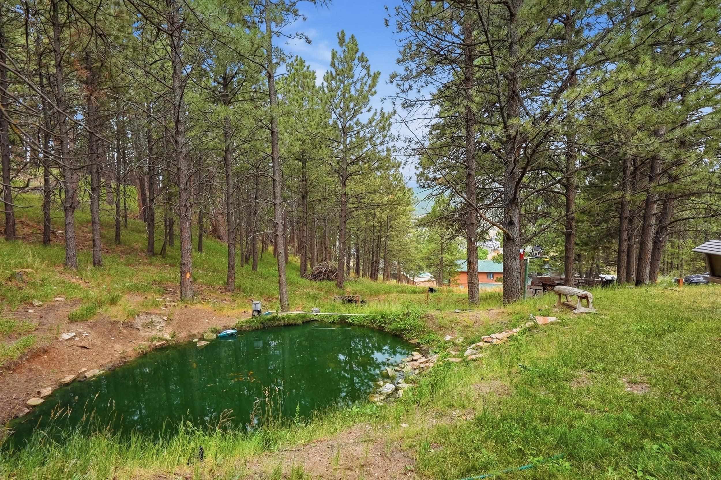 8913 Ridge Trail Property Photo 10