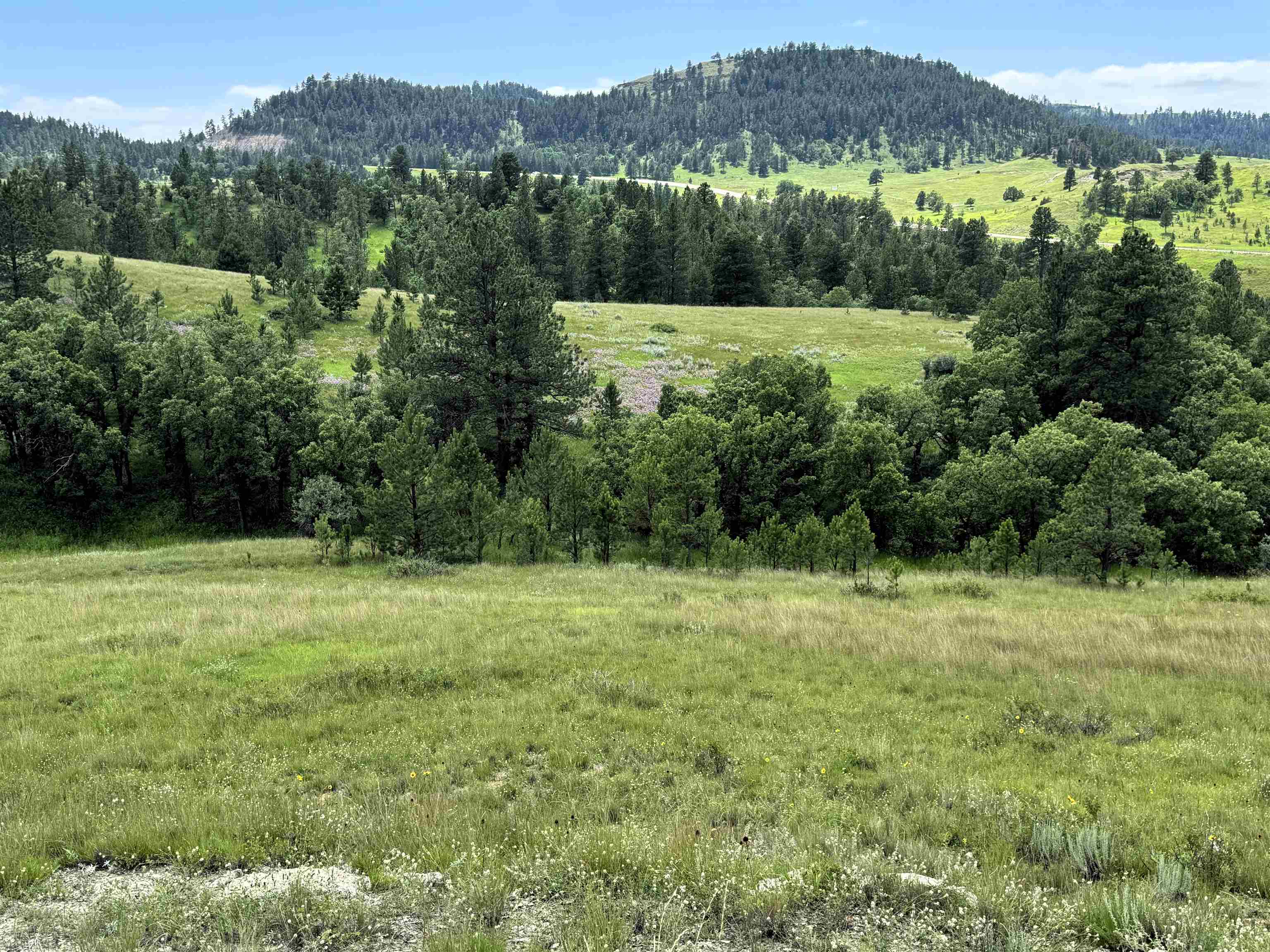 Tract 3 Painted Horse Road Property Photo 1