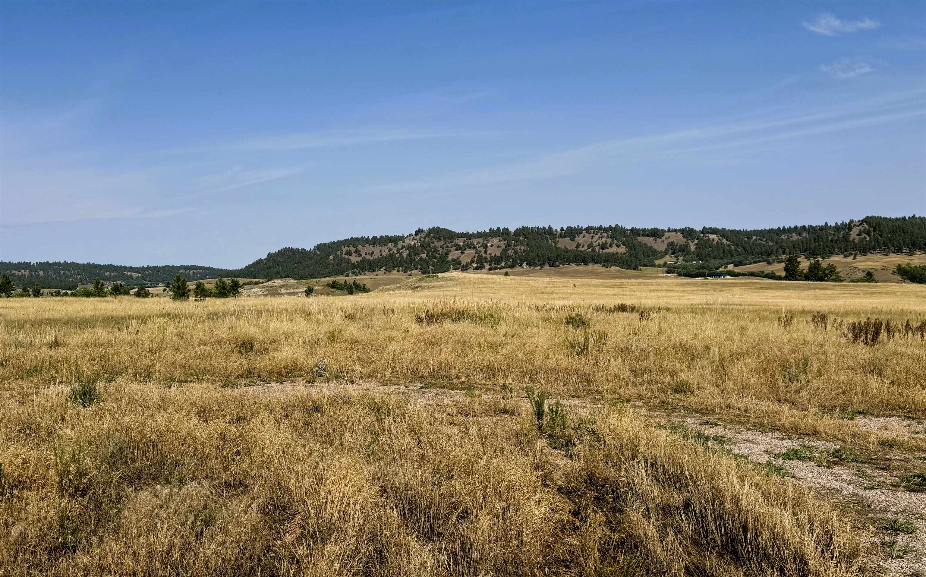 Tract 4 Painted Horse Road Property Photo 1