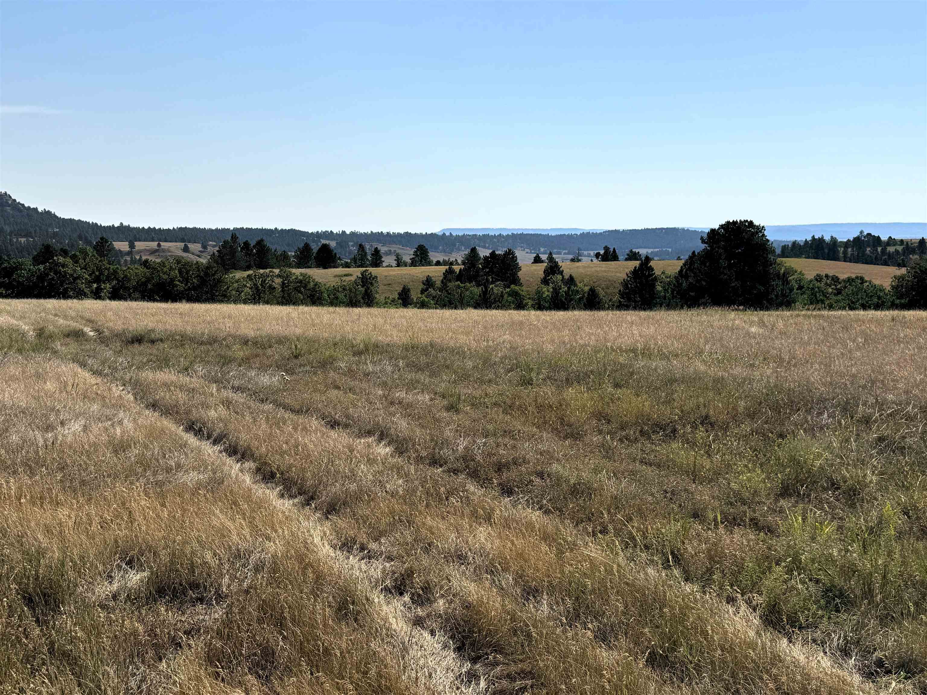Tract 10 Painted Horse Road Property Photo 1