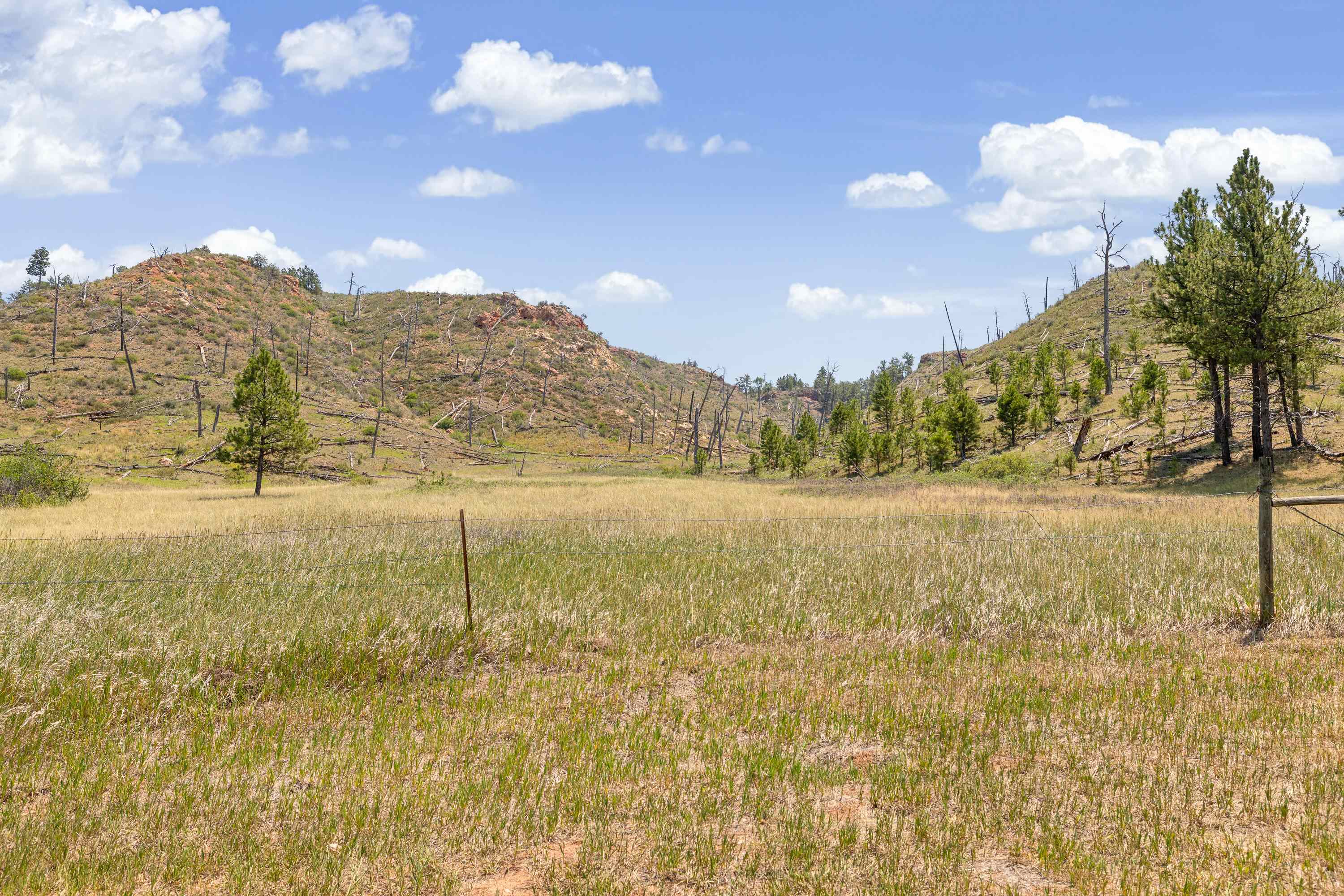 25482 Hell Canyon Road Property Photo 26