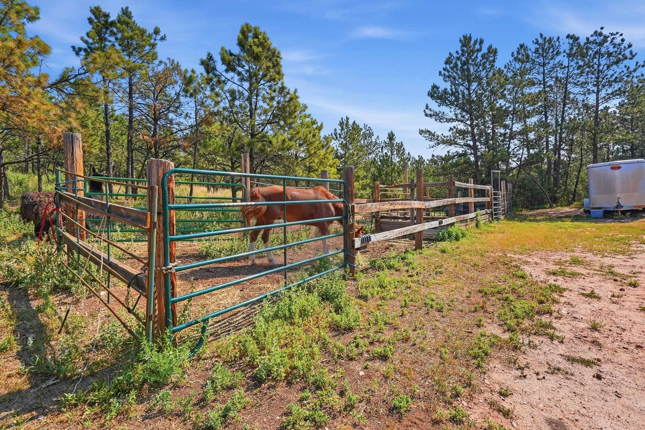 11863 W Argyle Road Property Photo 39