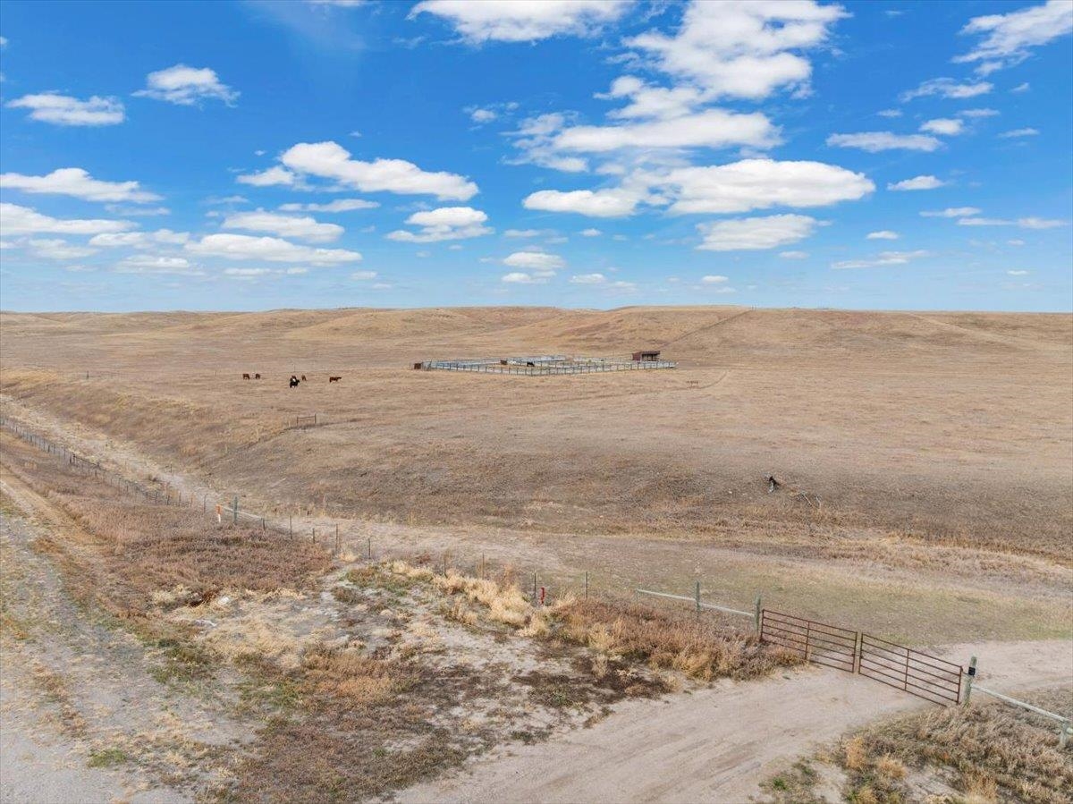 Tbd Highway 79 Property Photo 3