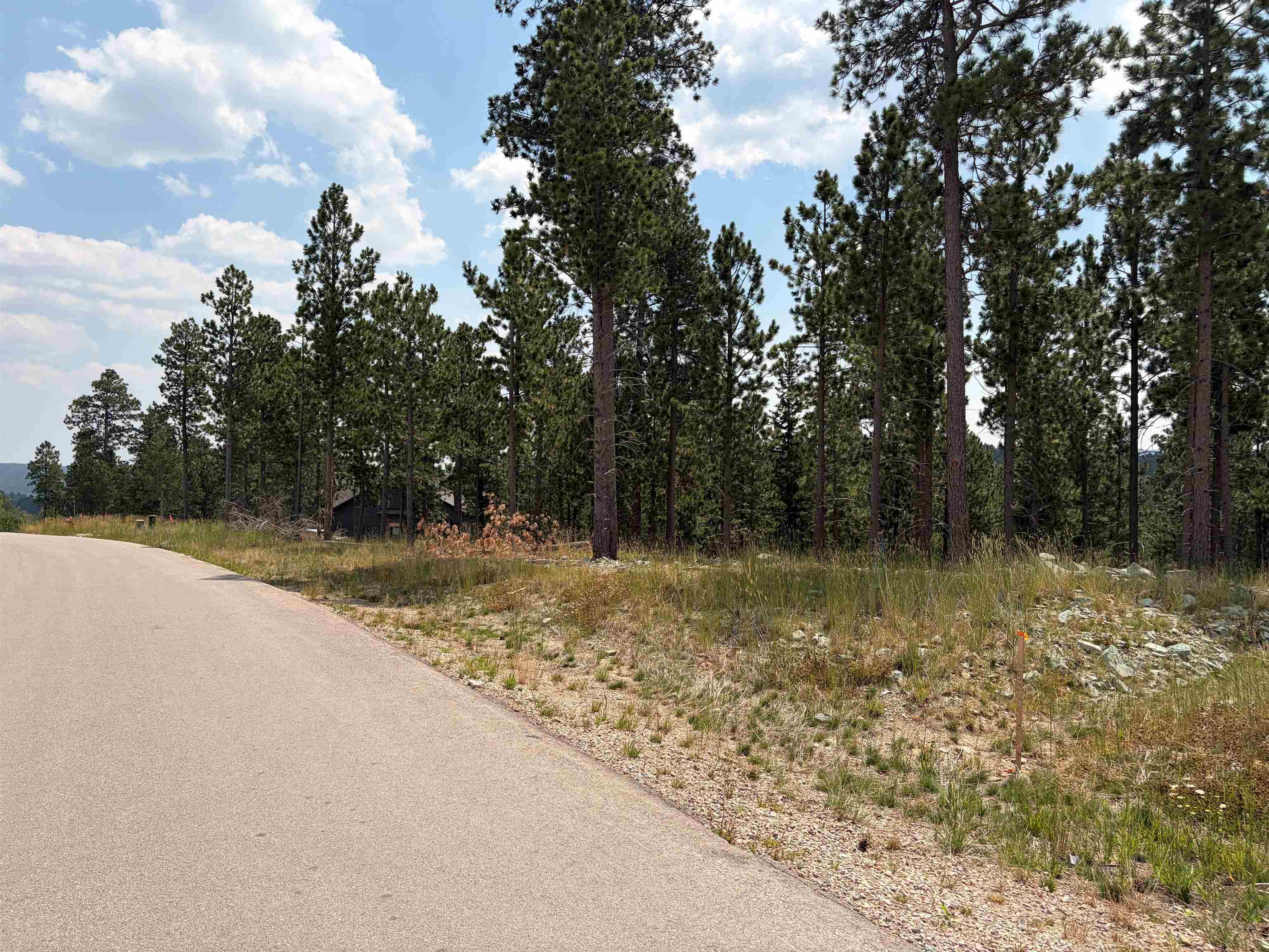 Lot 5 Block 9 Overlook Pass Property Photo 2
