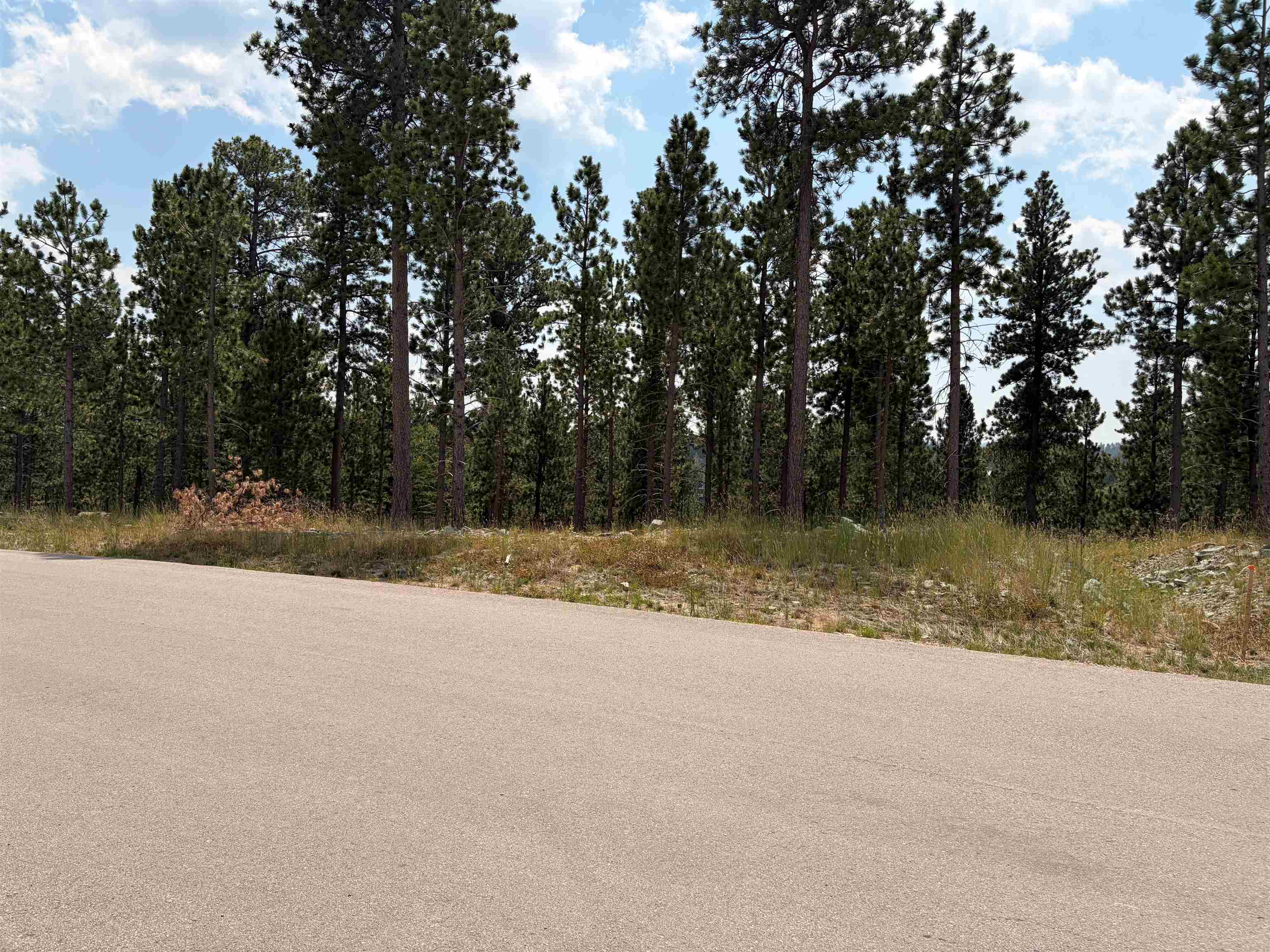 Lot 5 Block 9 Overlook Pass Property Photo 4