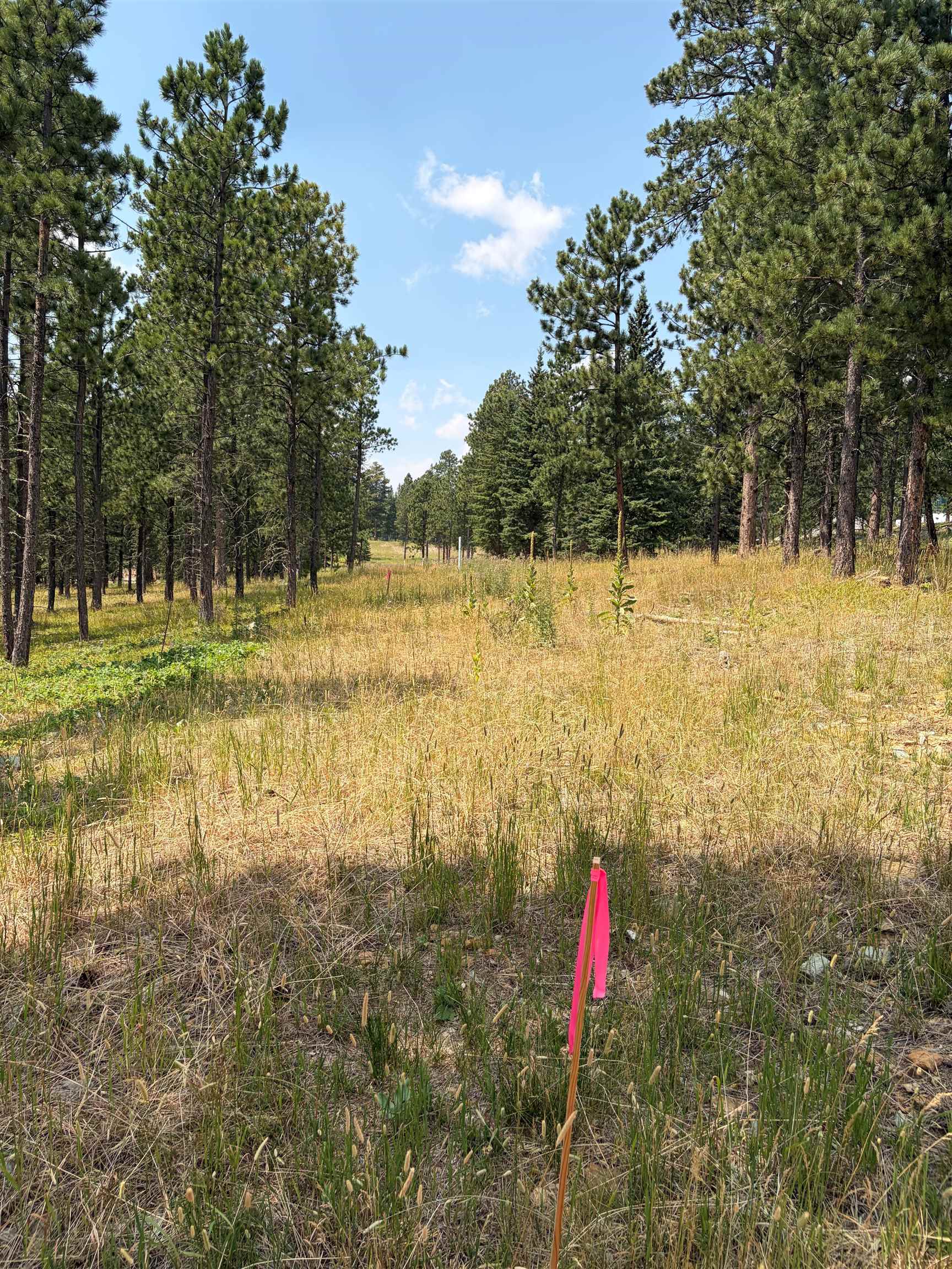 Lot 5 Block 9 Overlook Pass Property Photo 8