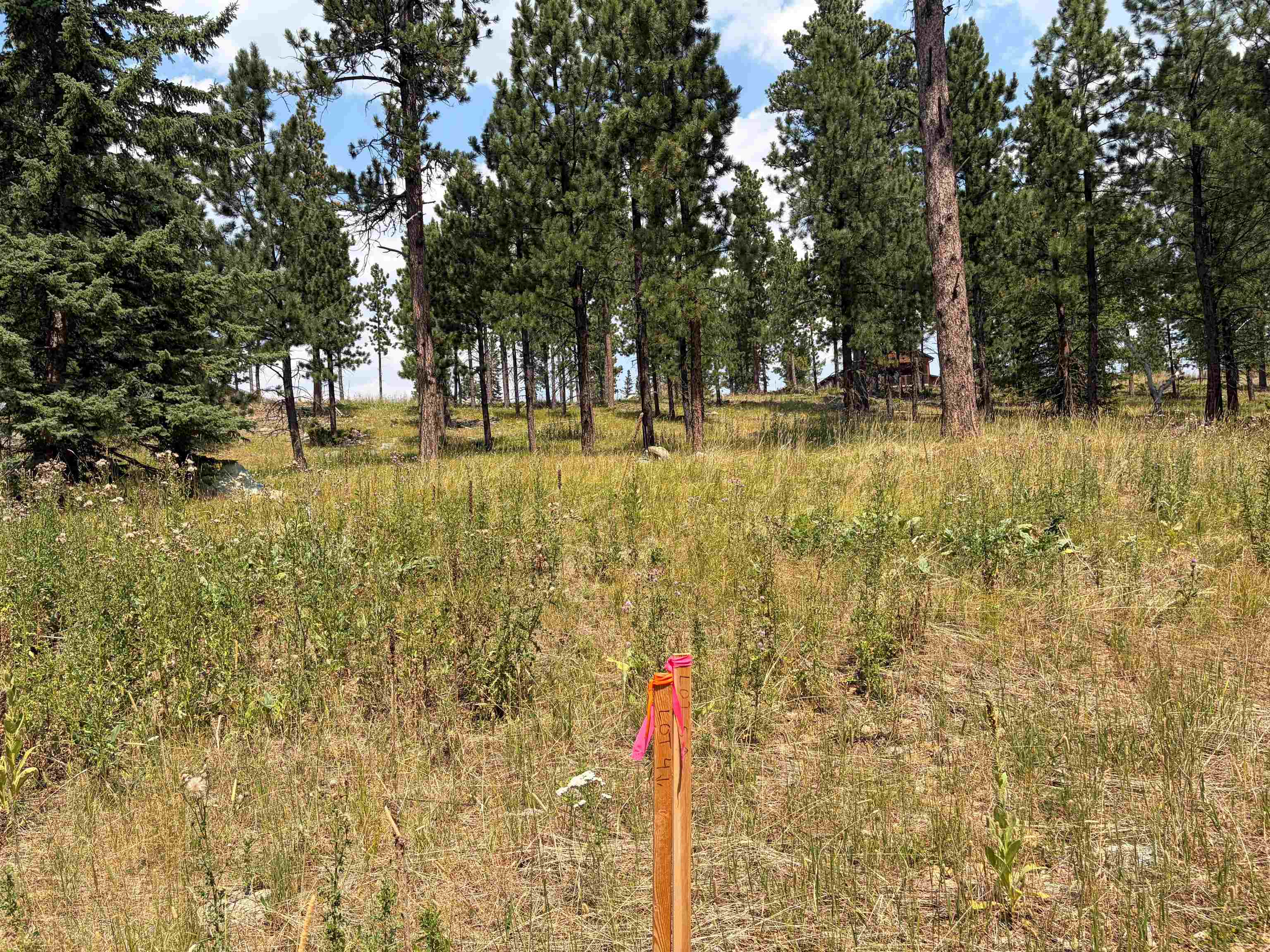 Lot 5 Block 9 Overlook Pass Property Photo 10
