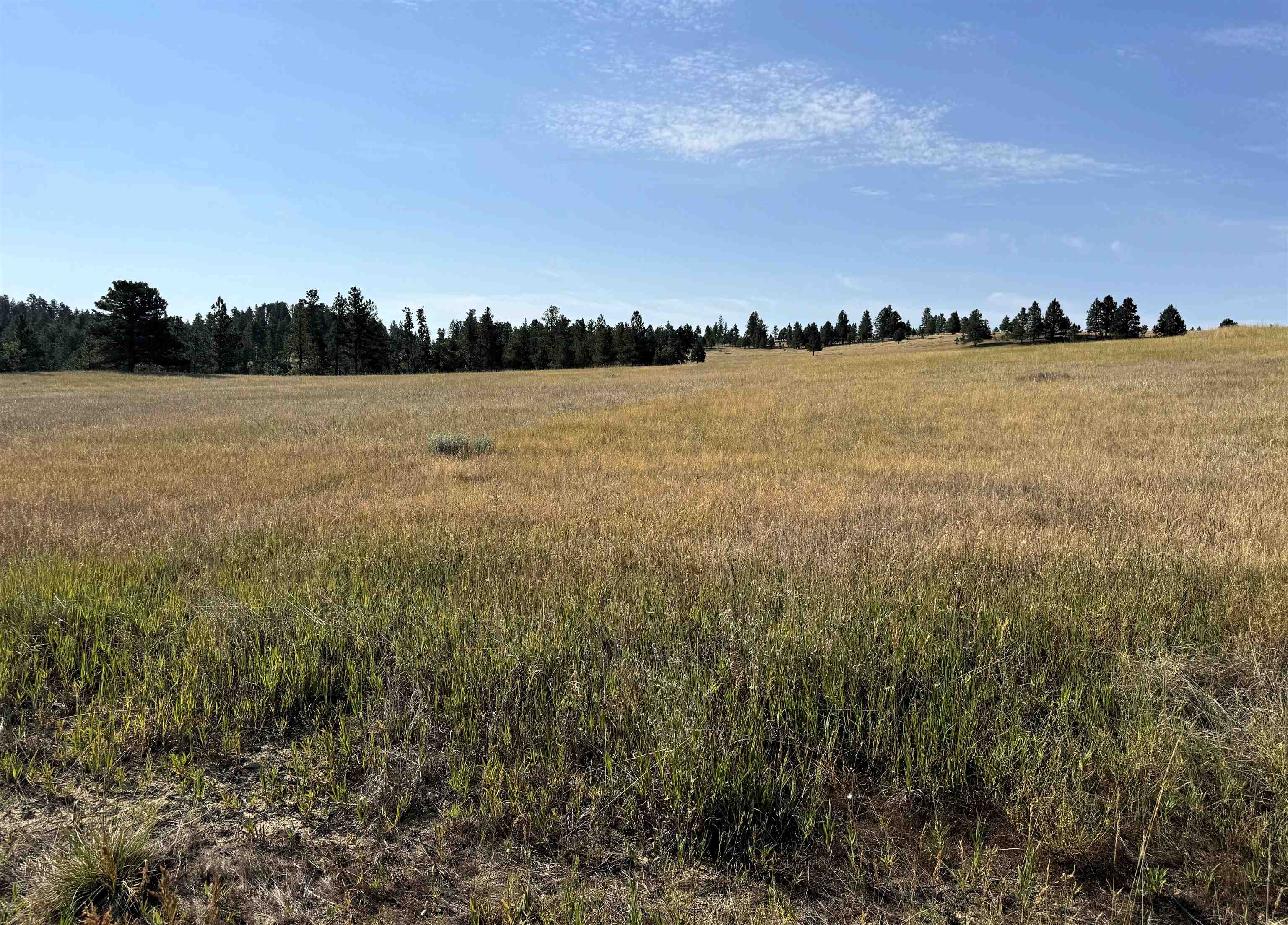 Tract 14 Soaring Eagle Road Property Photo 1
