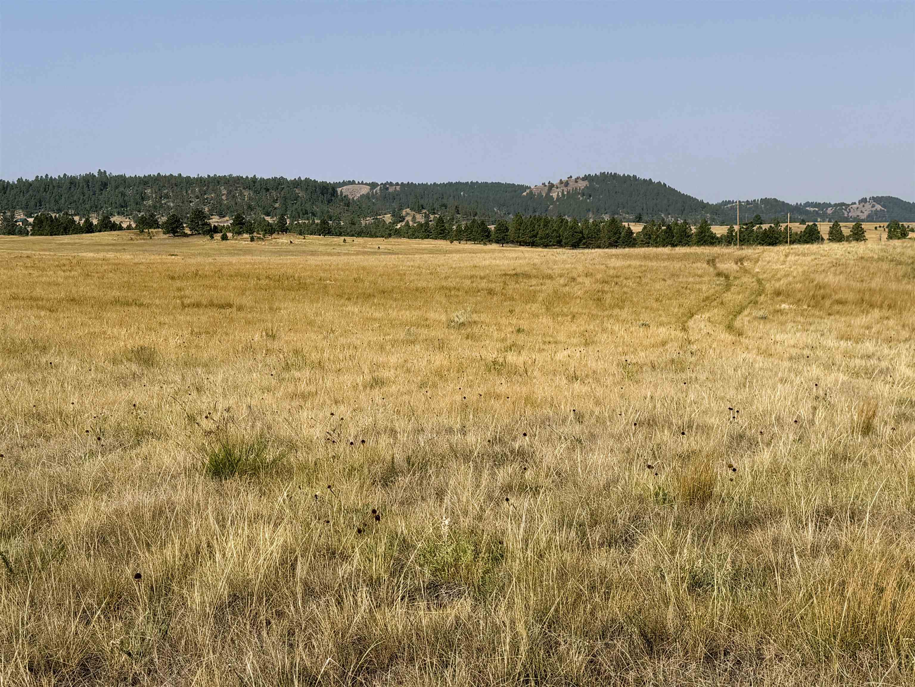 Tract 17 Black Bear Road Property Photo 1