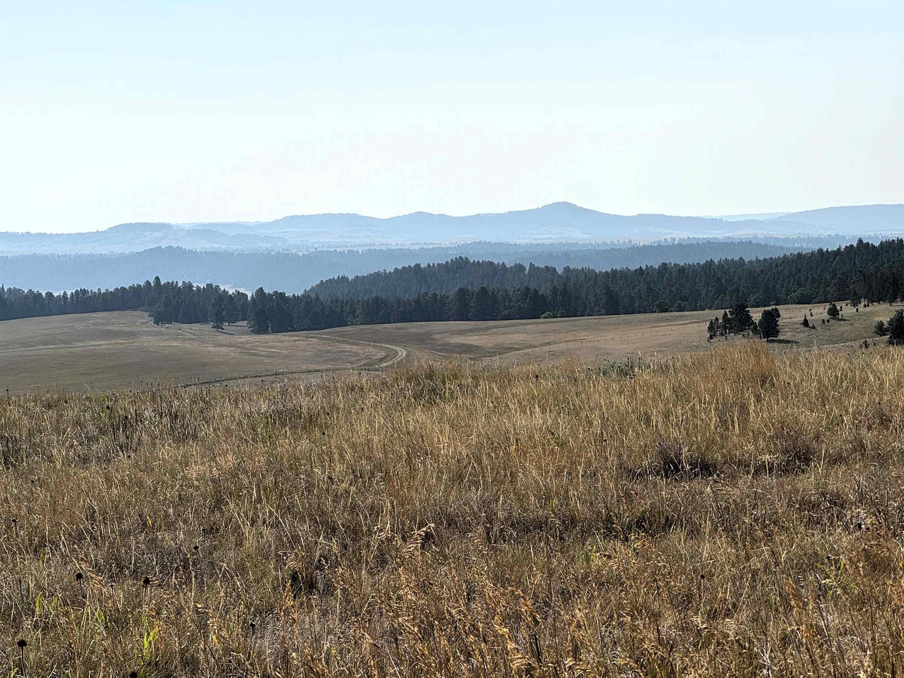 Tract 17 Black Bear Road Property Photo 2