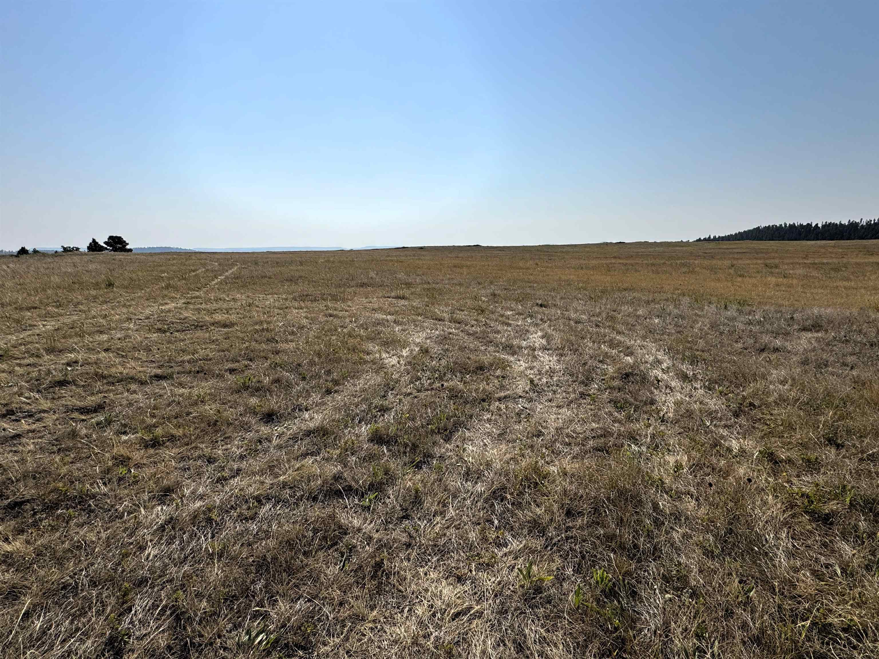 Tract 17 Black Bear Road Property Photo 3