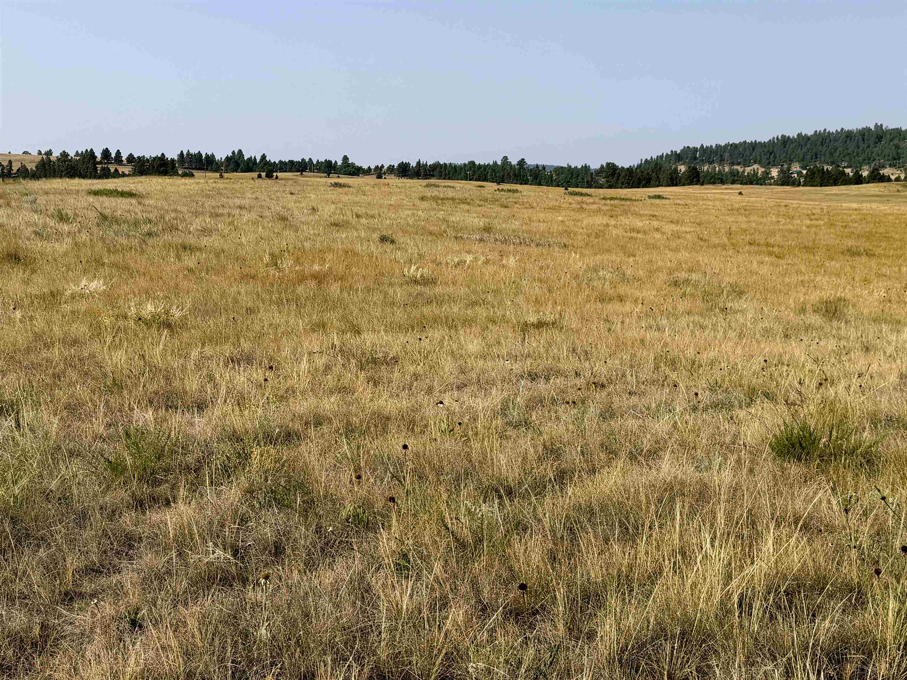 Tract 17 Black Bear Road Property Photo 4