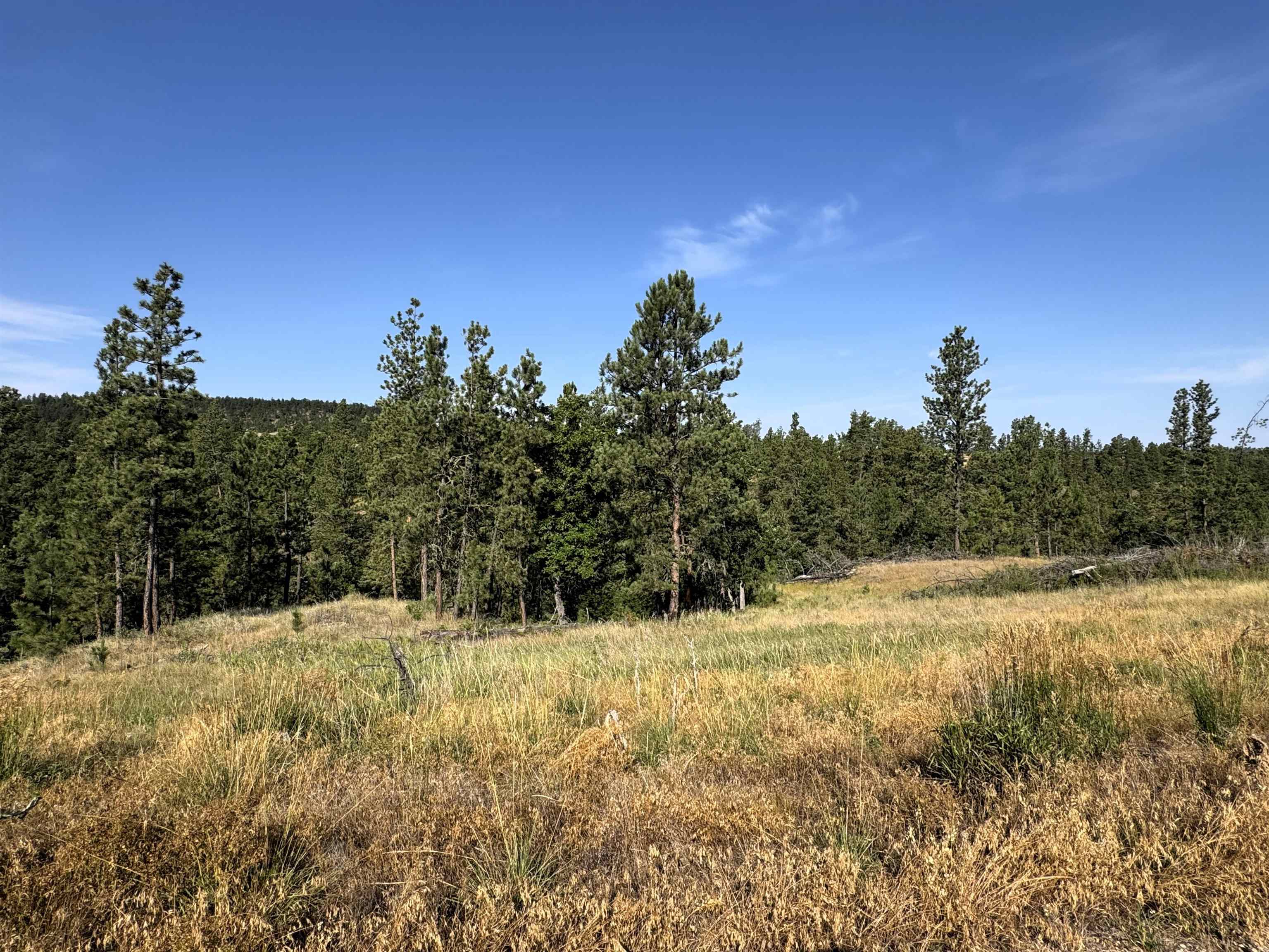 Tract 12 Black Bear Road Property Photo 1