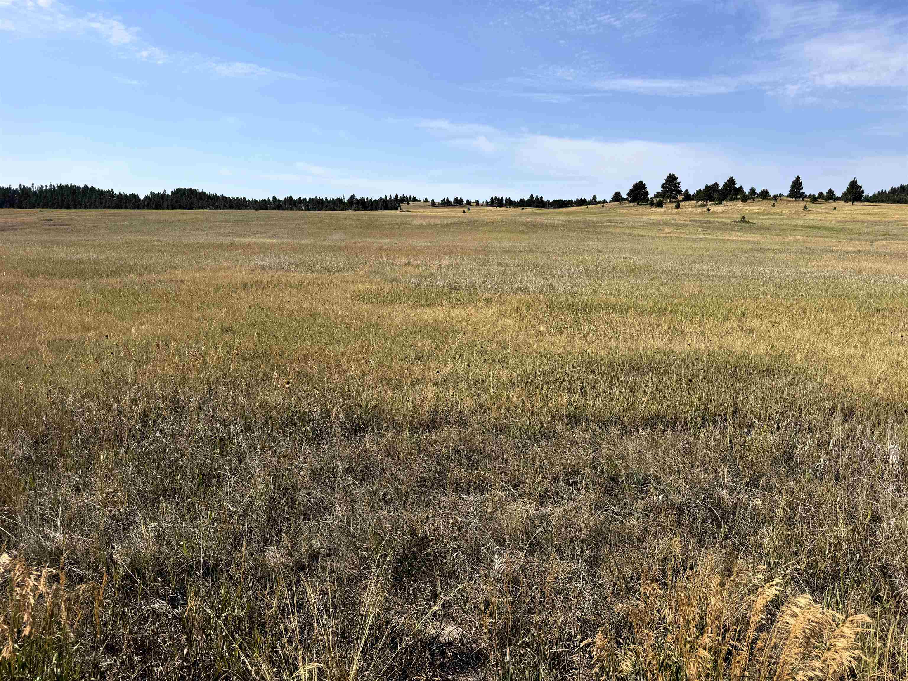 Tract 12 Black Bear Road Property Photo 2